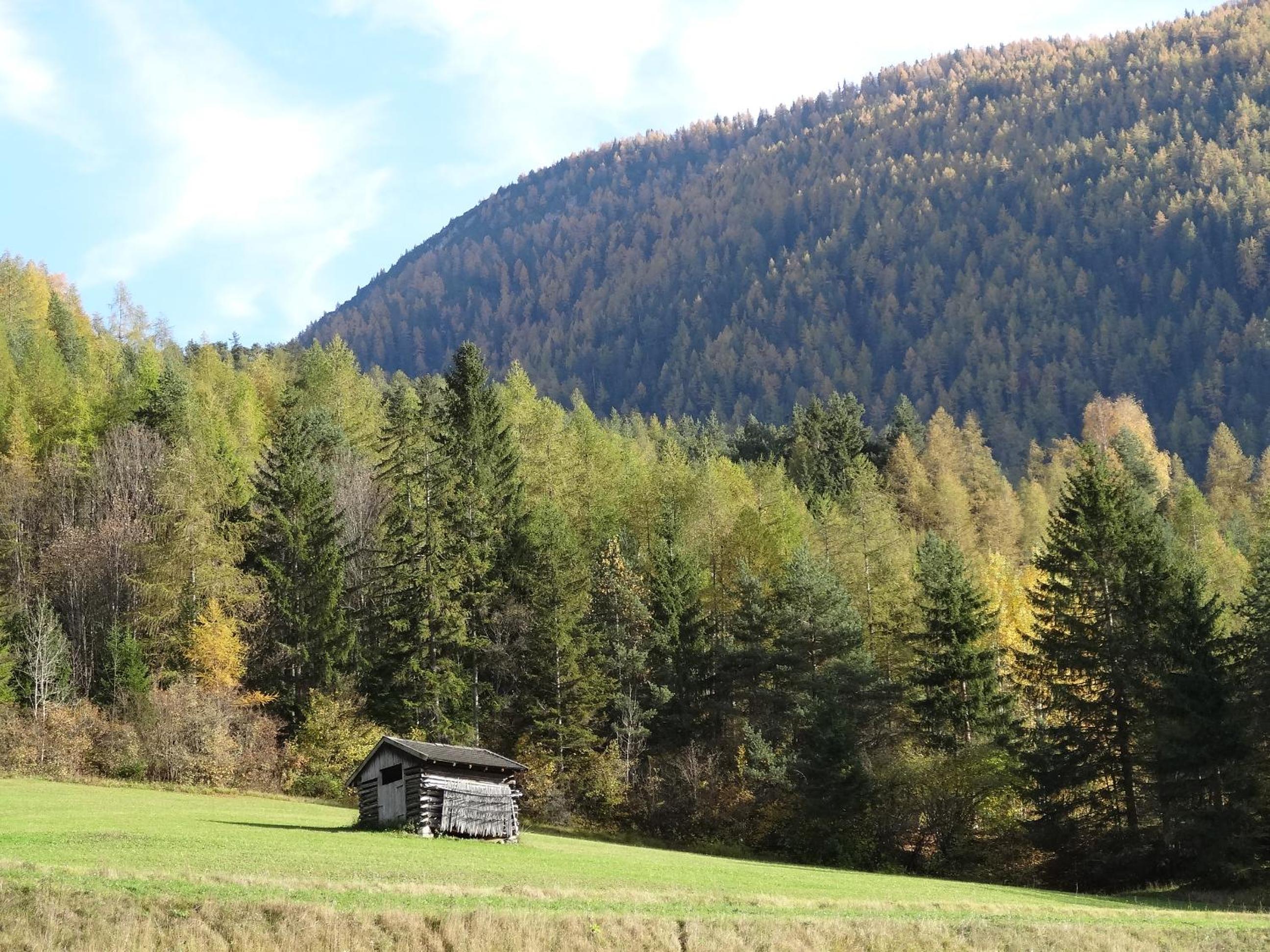 Photo 23