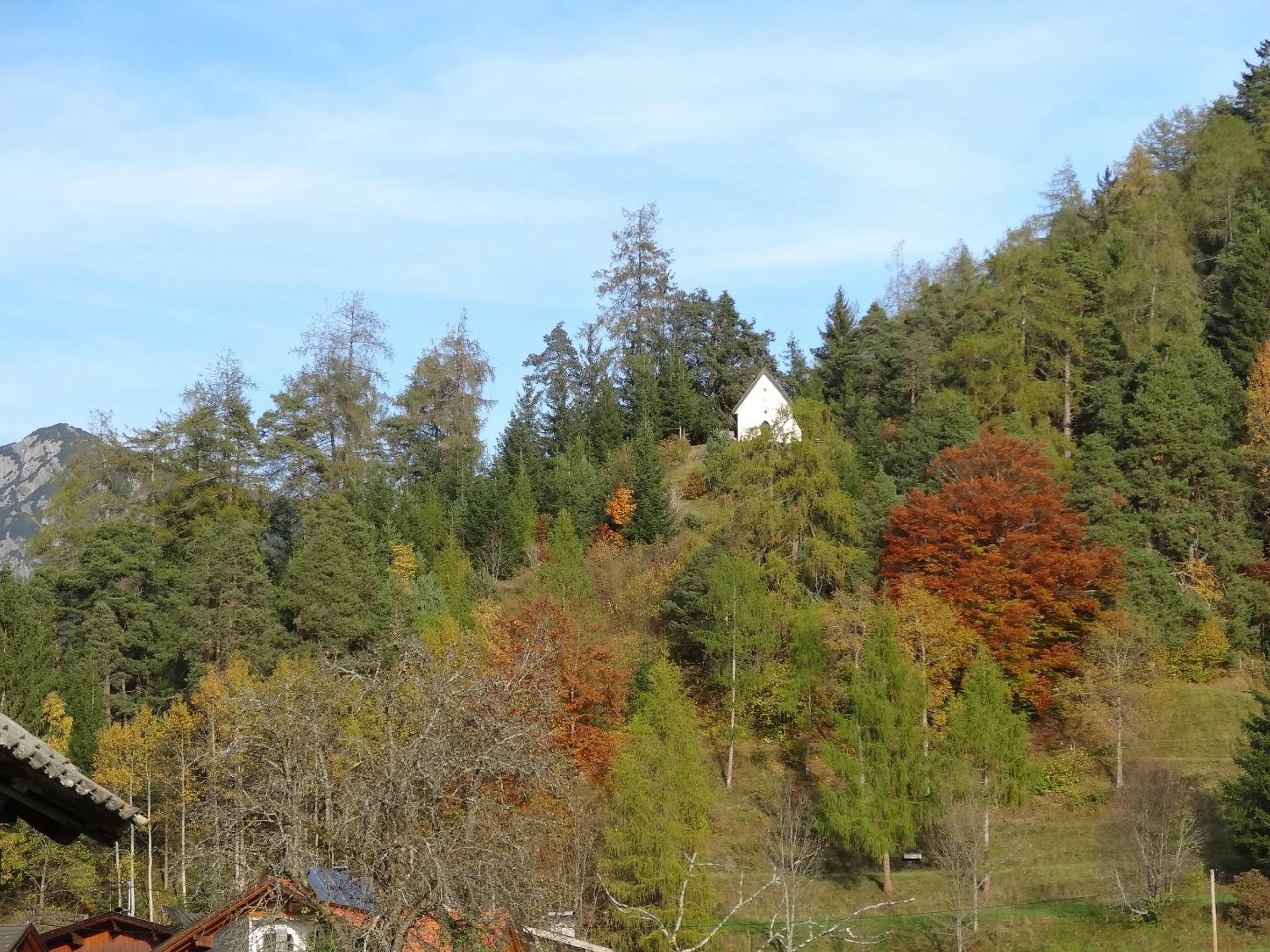 Photo 28