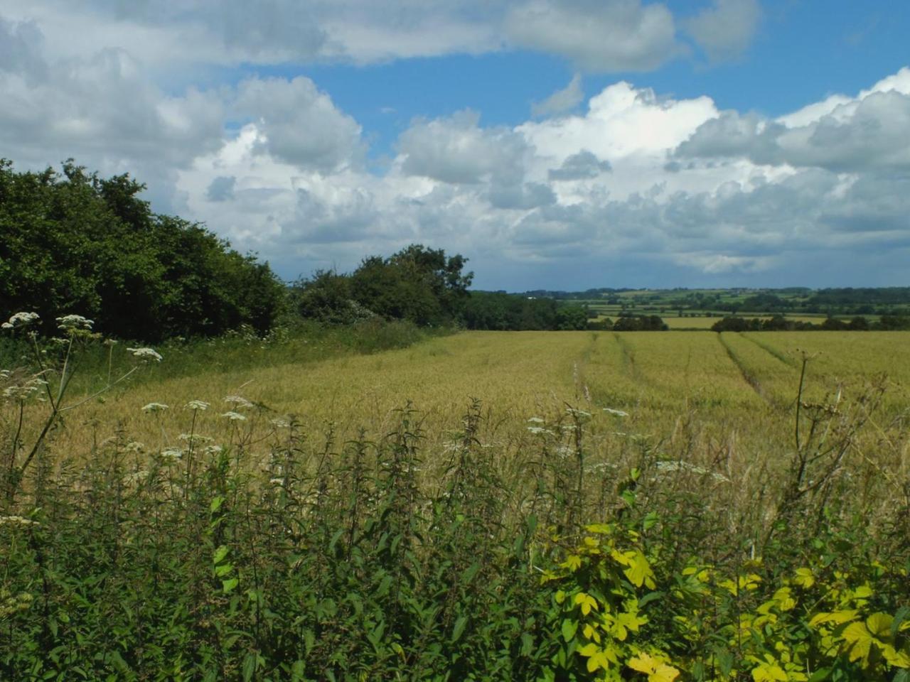 Herb Cottage, photo 10