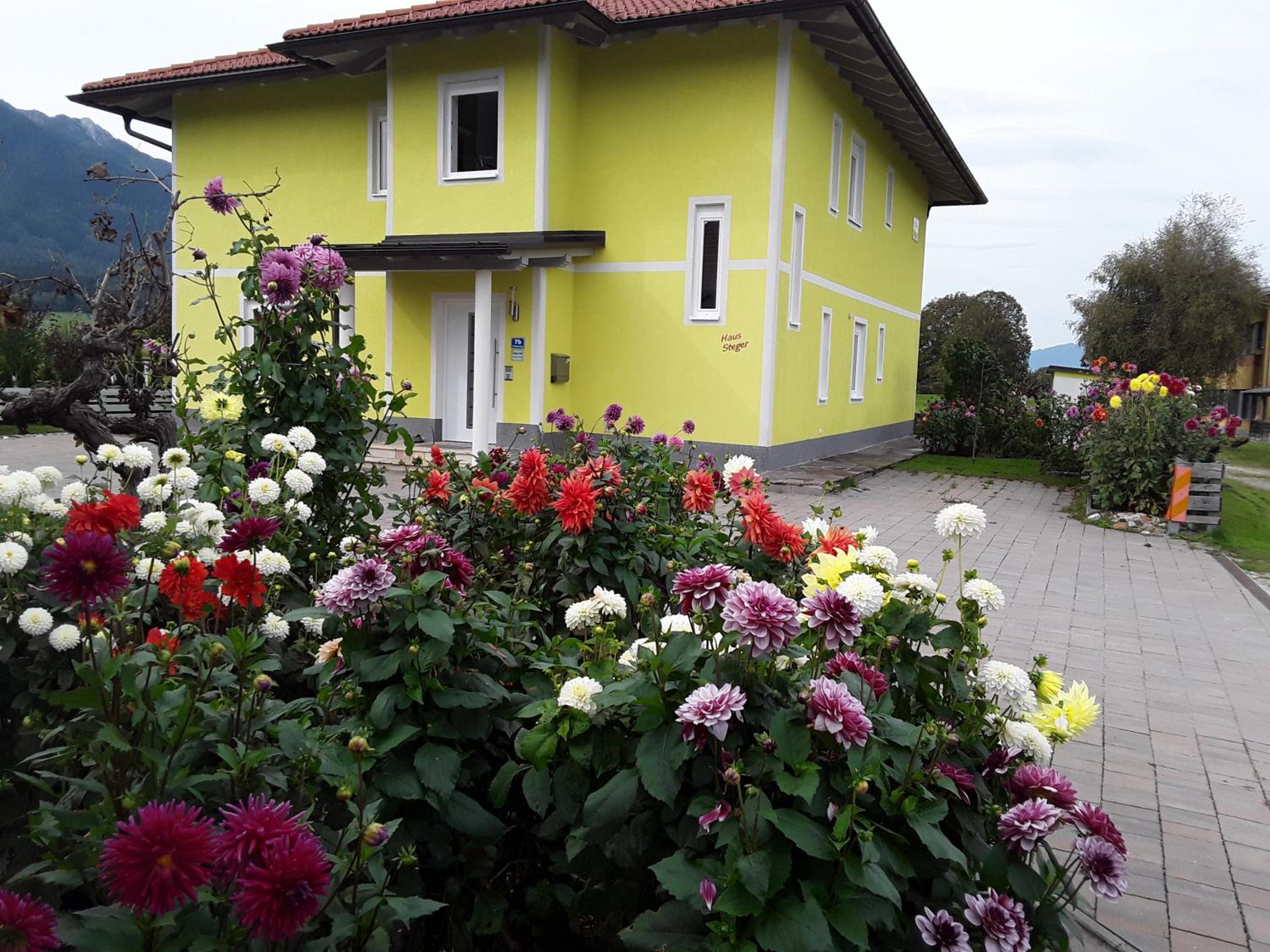 Apartments Steger