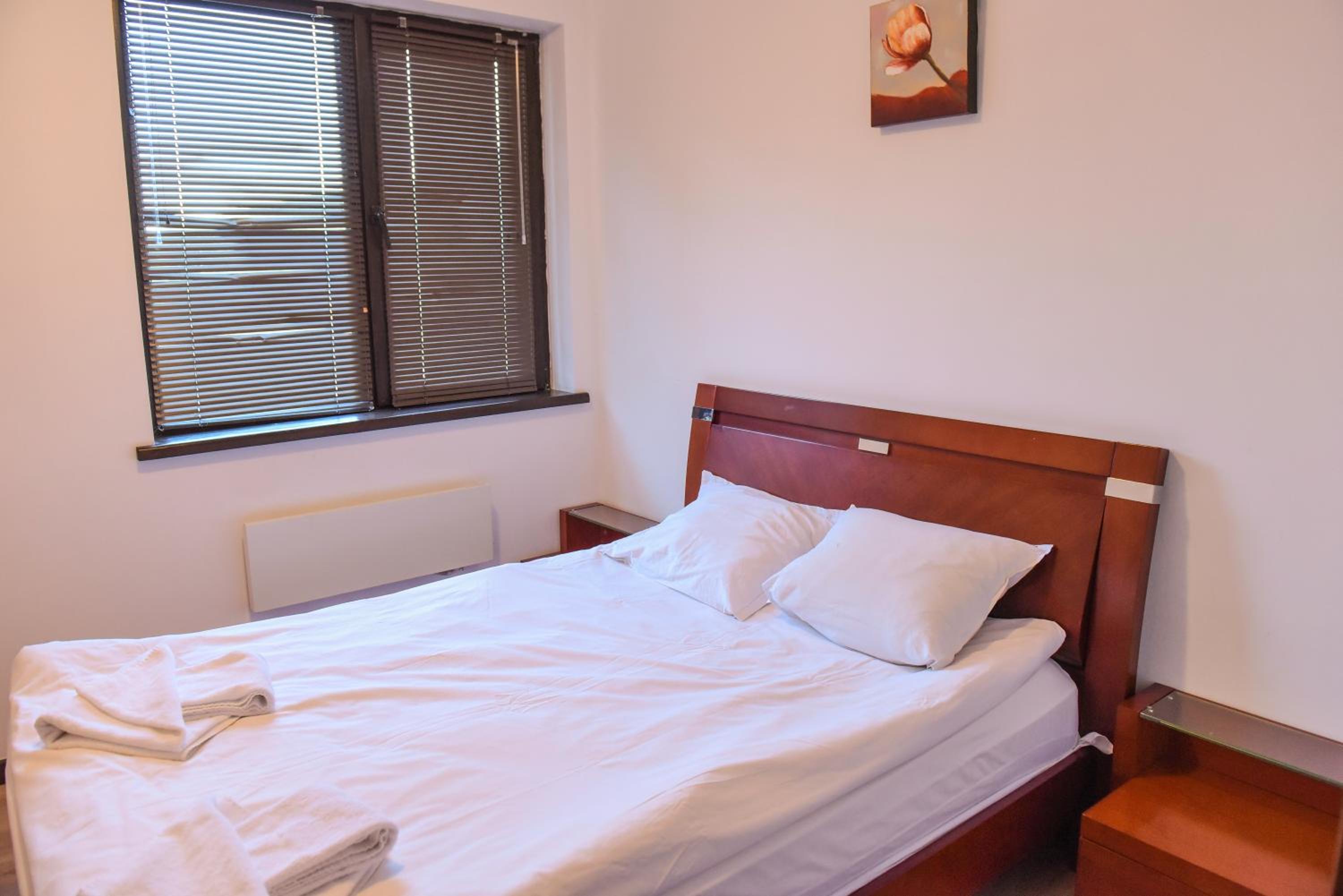 Bansko Vacations - Royal Bansko - Half Board Plus All Inclusive Light - Hot Pool Jacuzzis - Property Image 71
