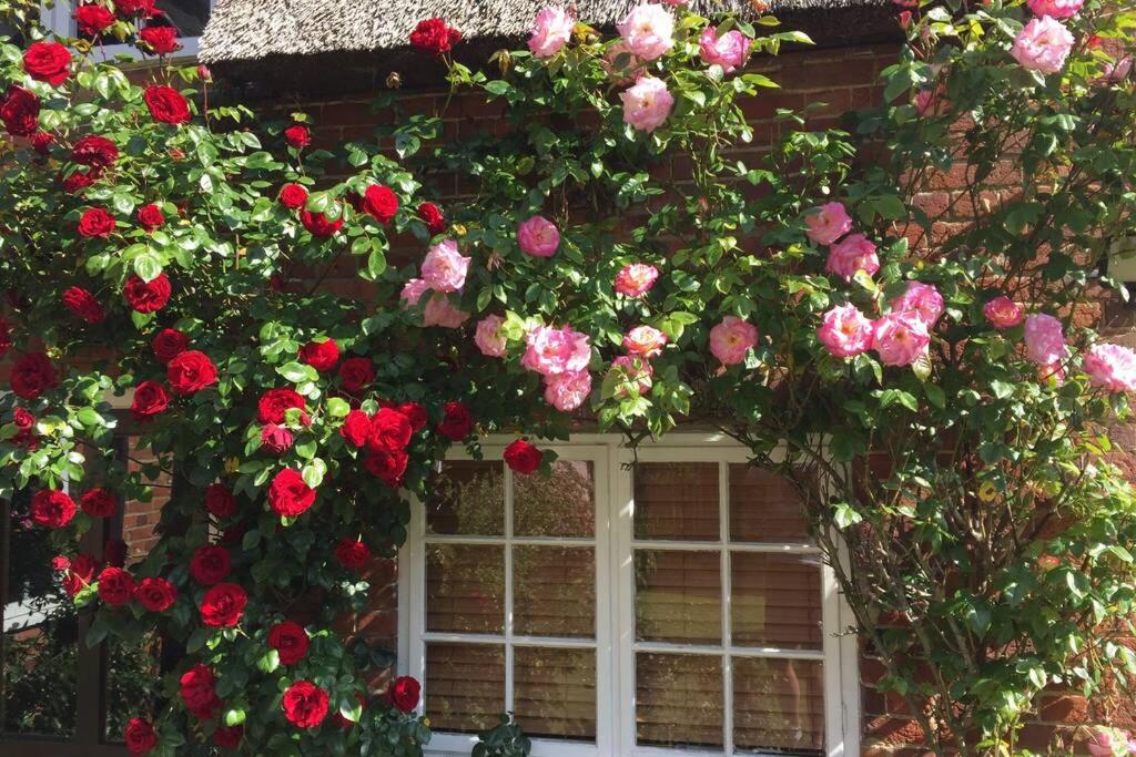 Rose Cottage