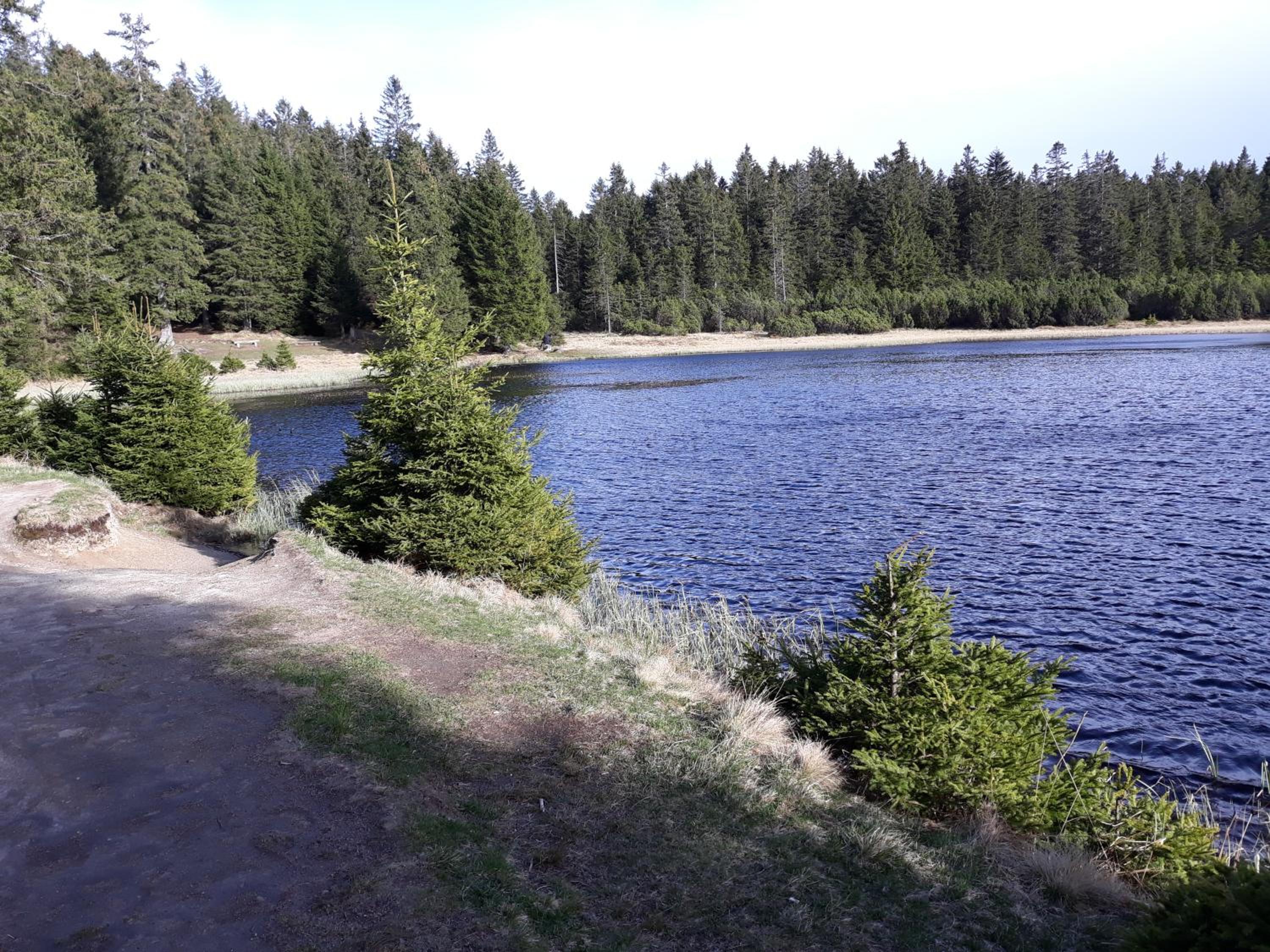 Photo 35