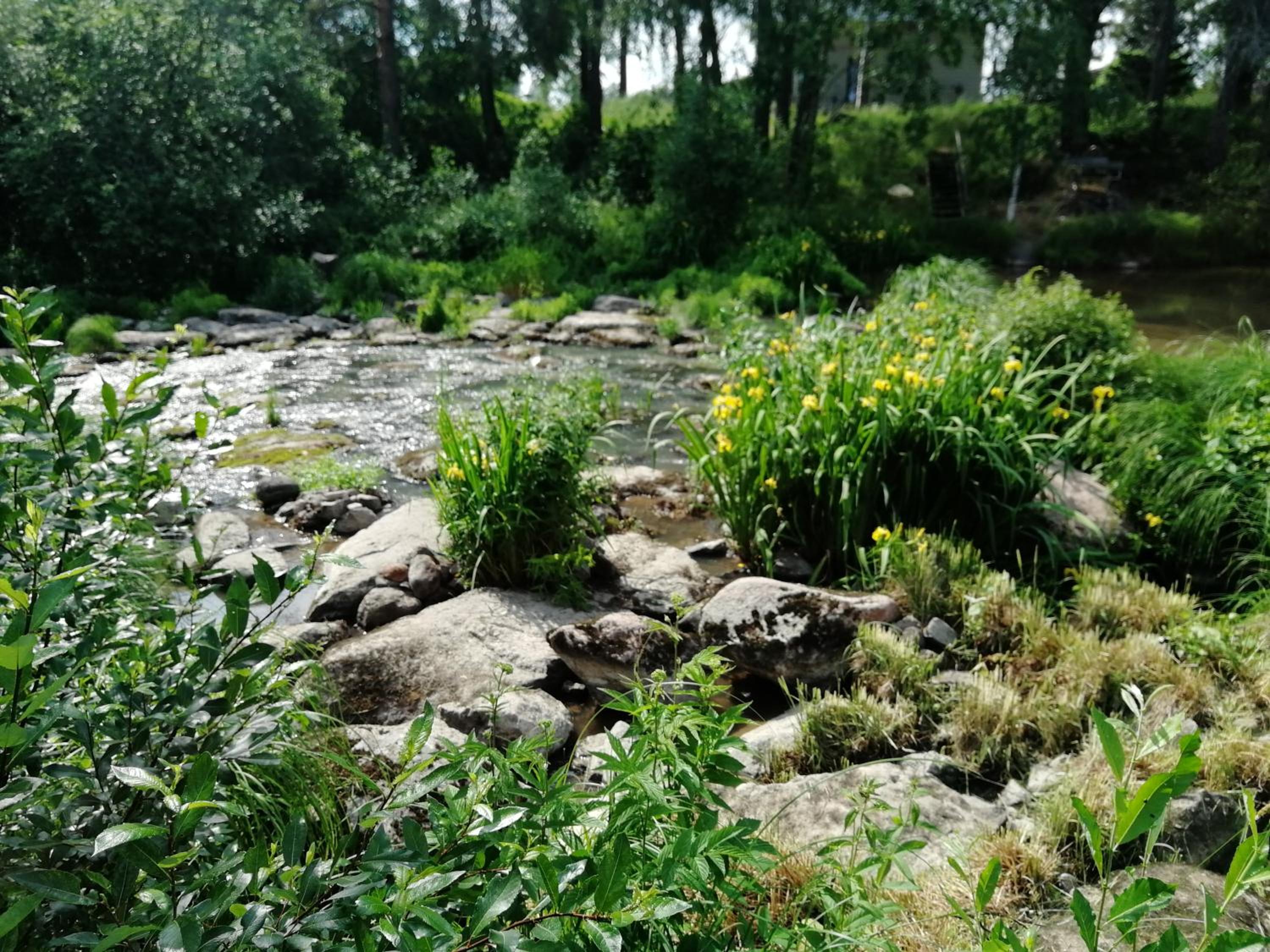 Photo 6