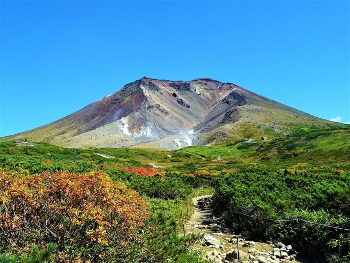 Photo 42