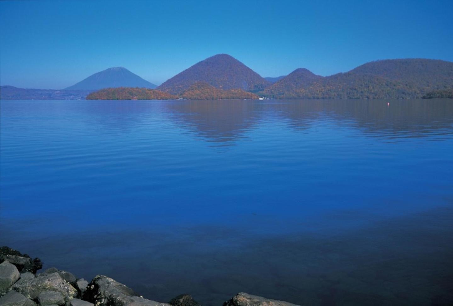 Photo 41