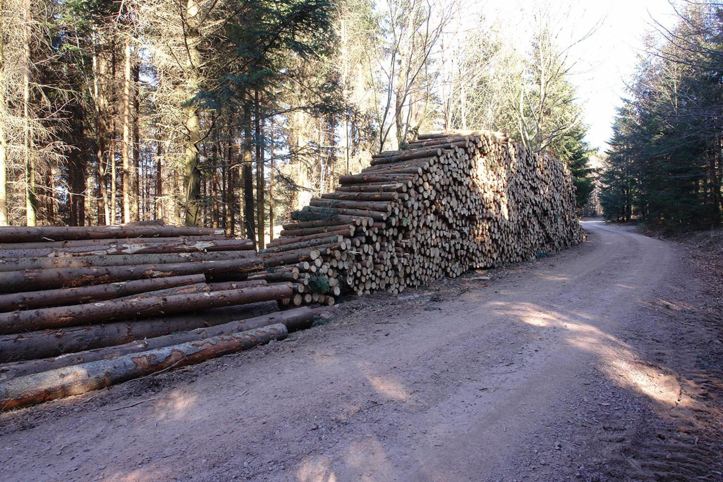 Photo 47