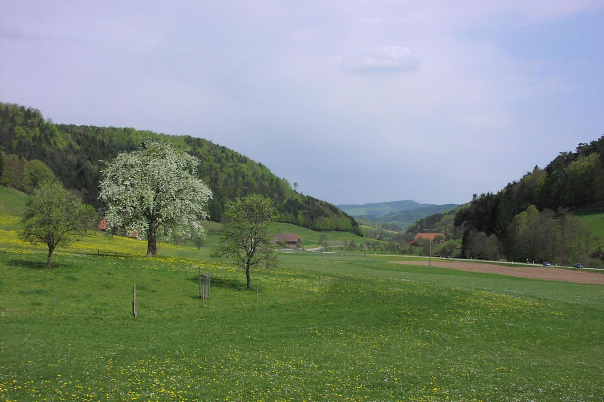Photo 31