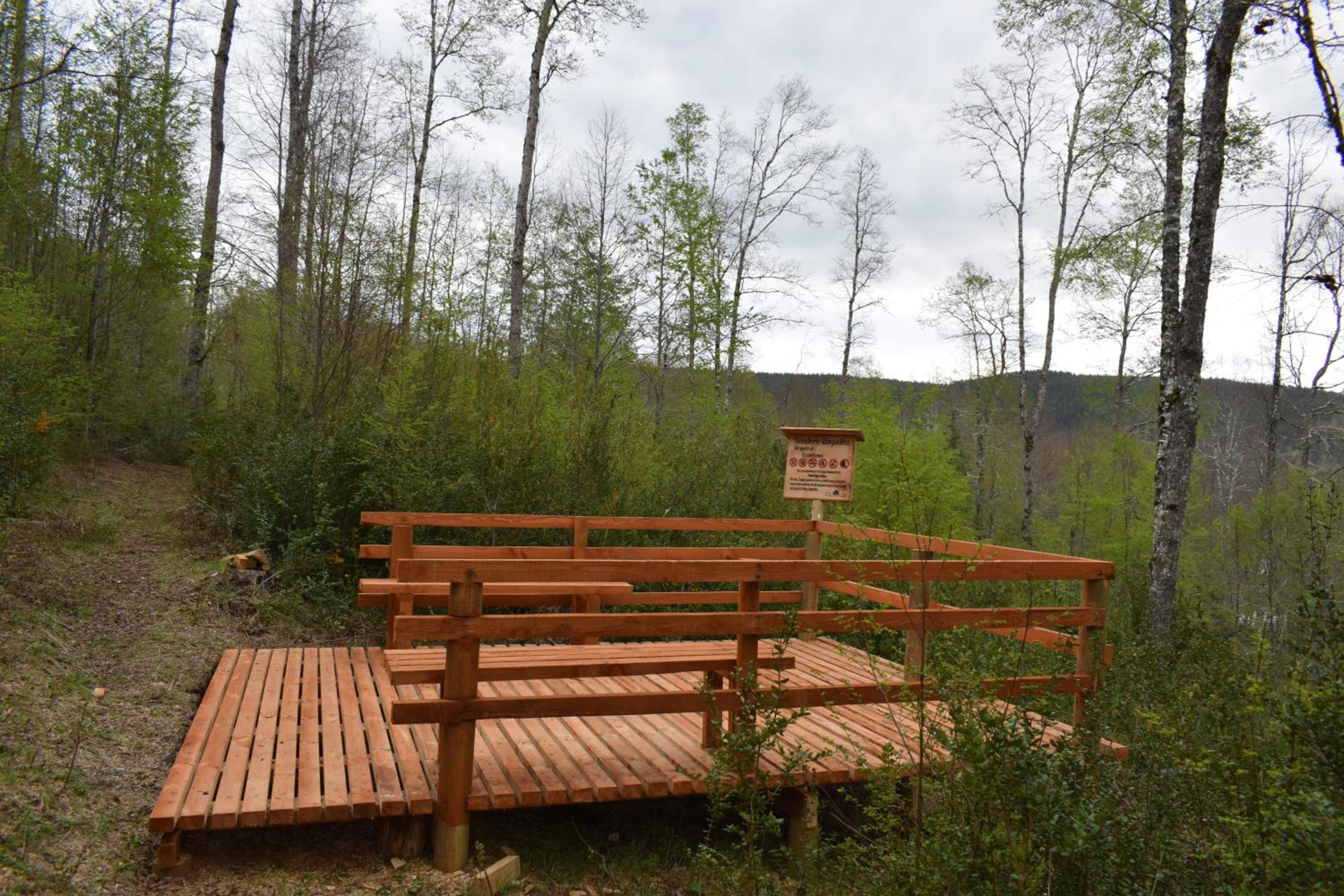 Proyecto COYAM, cabañas lofts, tinas privadas, sendero por el bosque