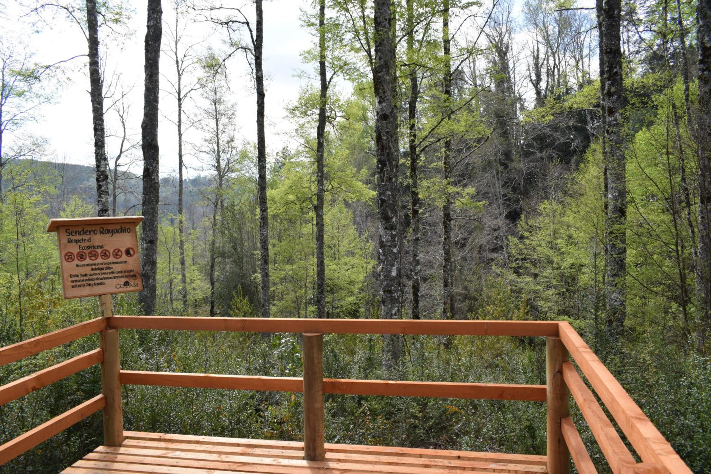 Proyecto COYAM, cabañas lofts, tinas privadas, sendero por el bosque