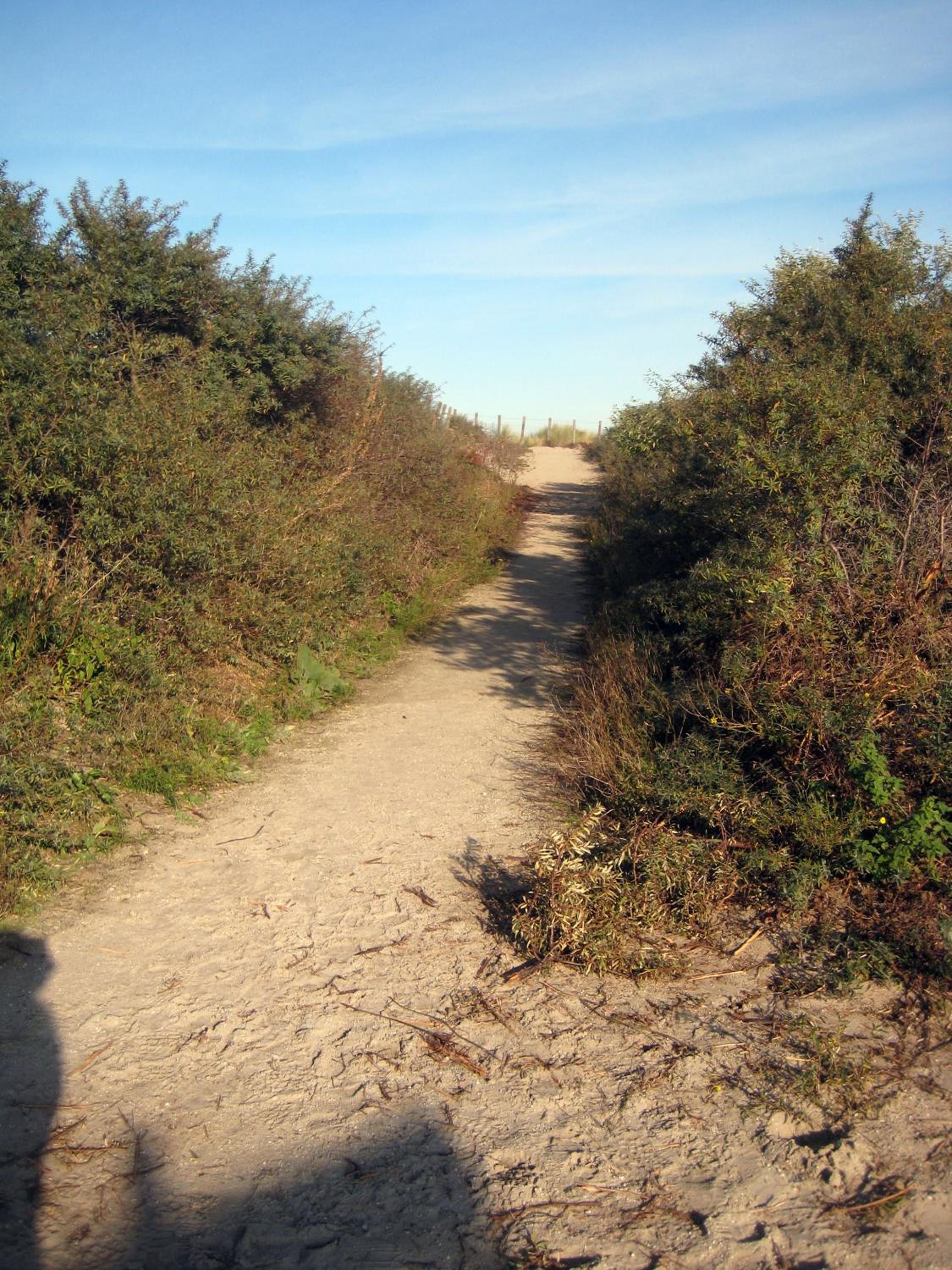 Photo 27