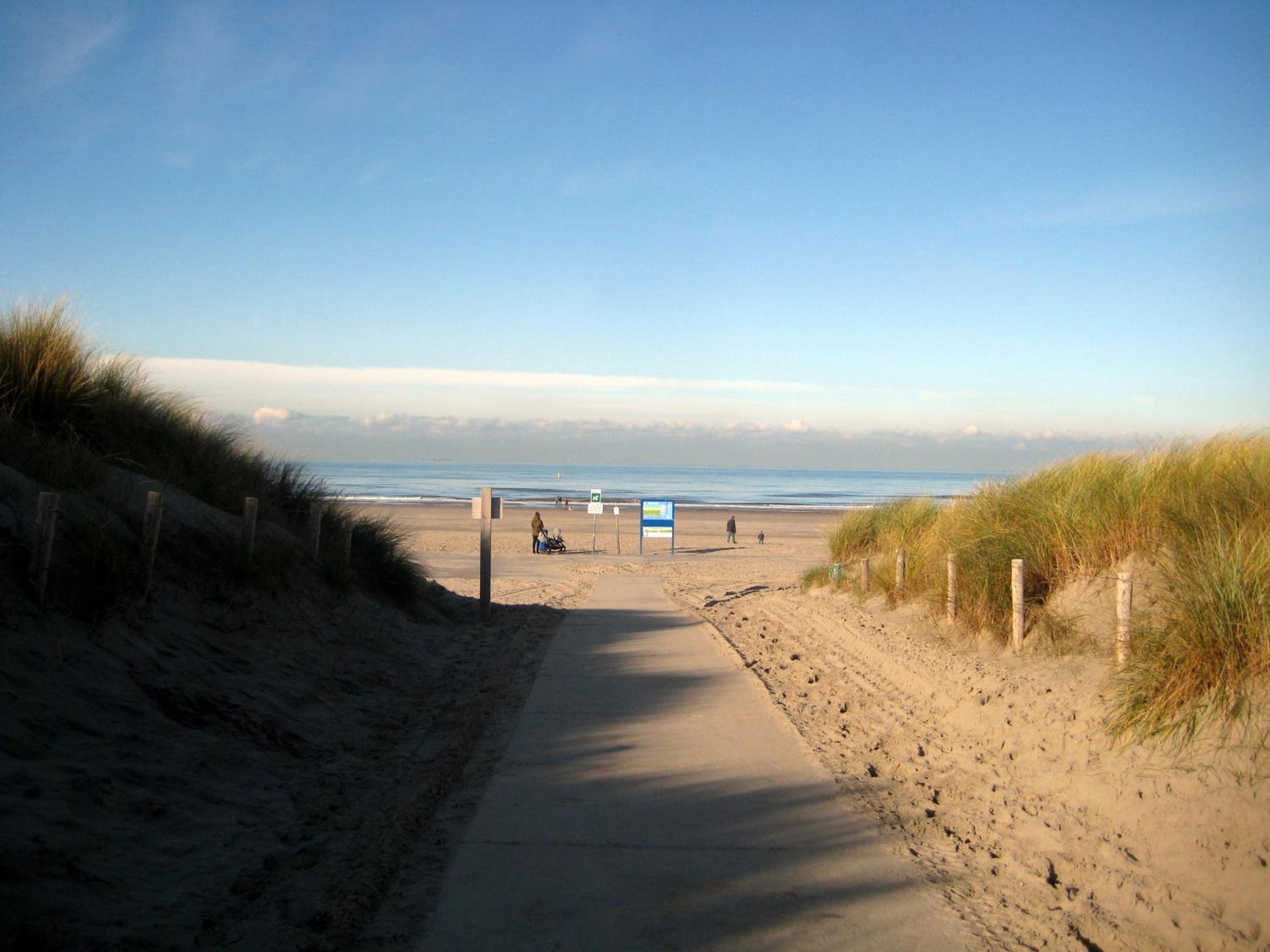 Photo 23