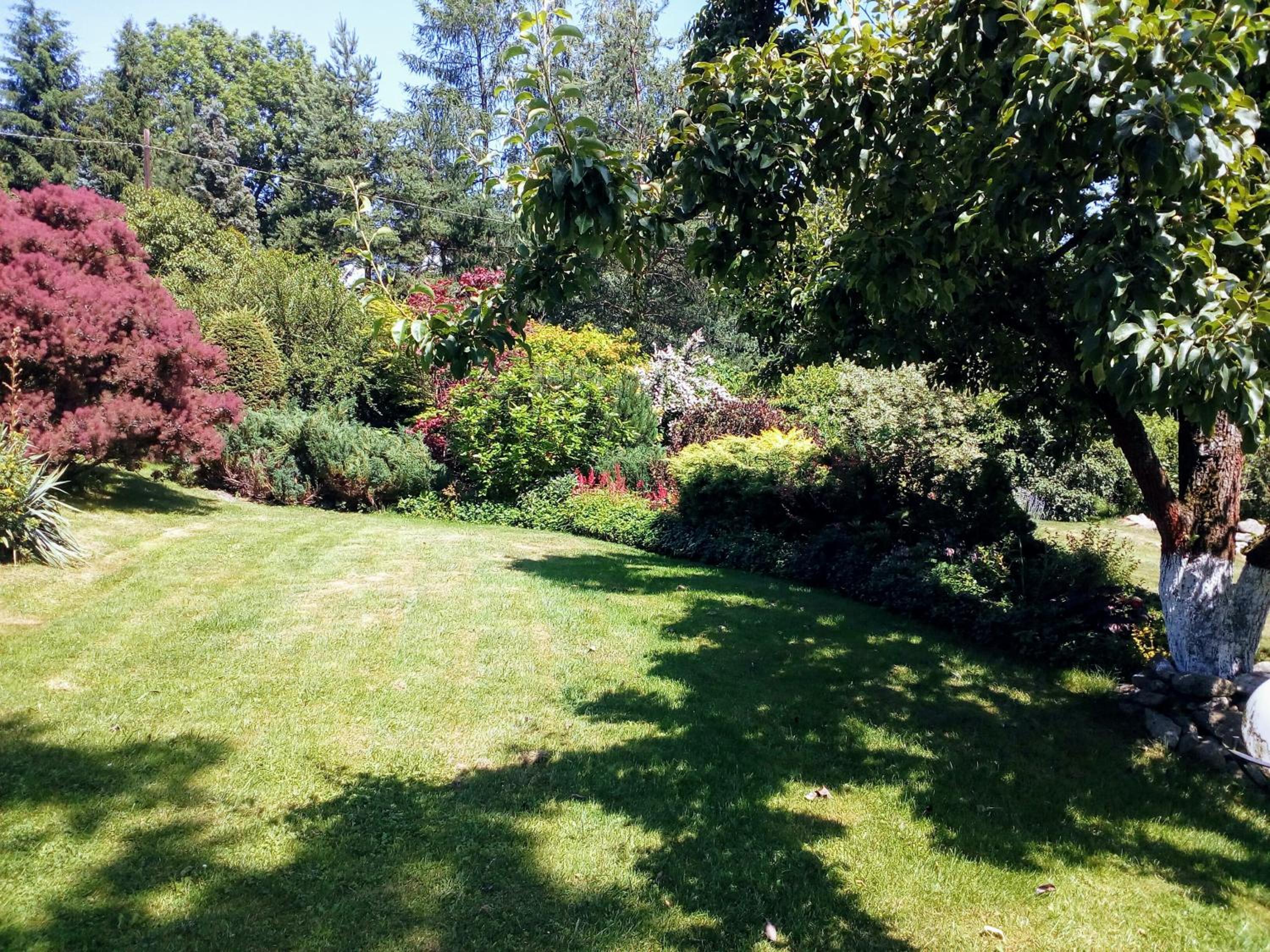 Photo 32