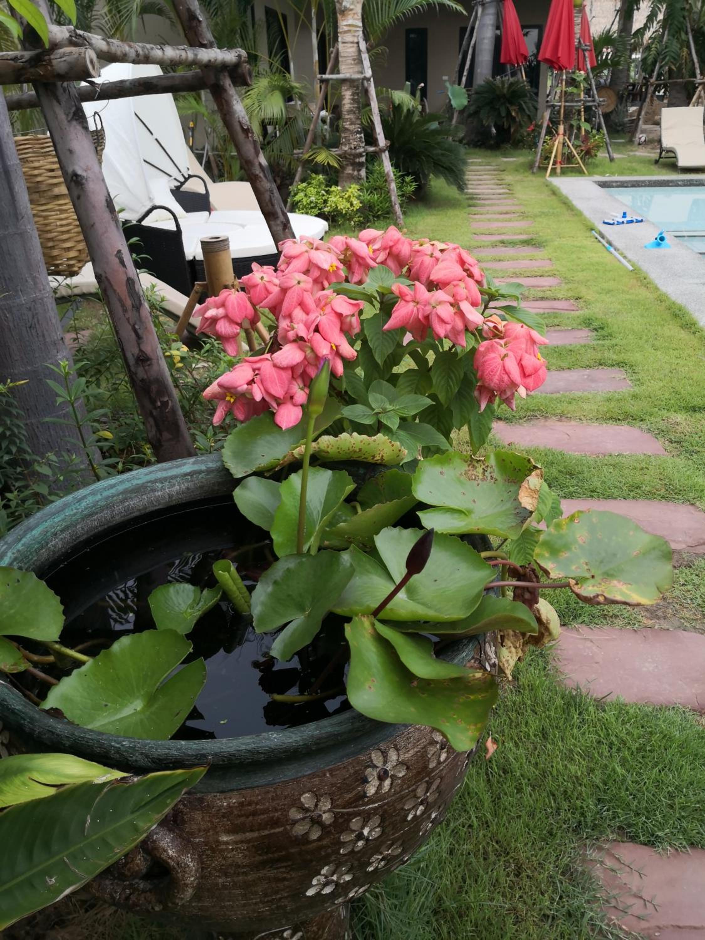 Photo 22