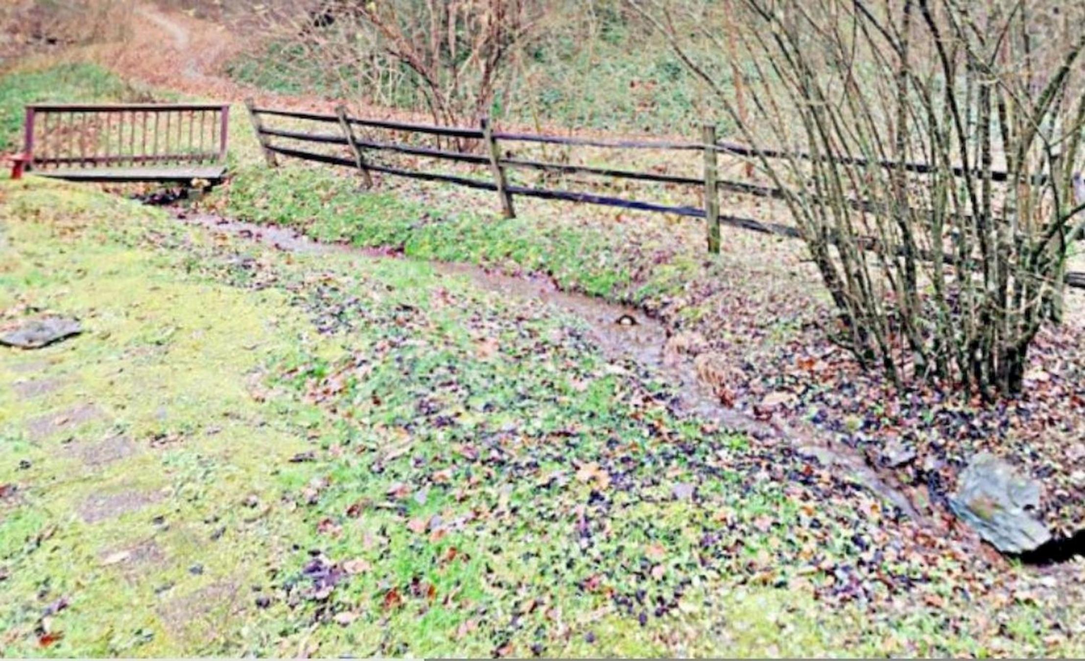 Photo 45