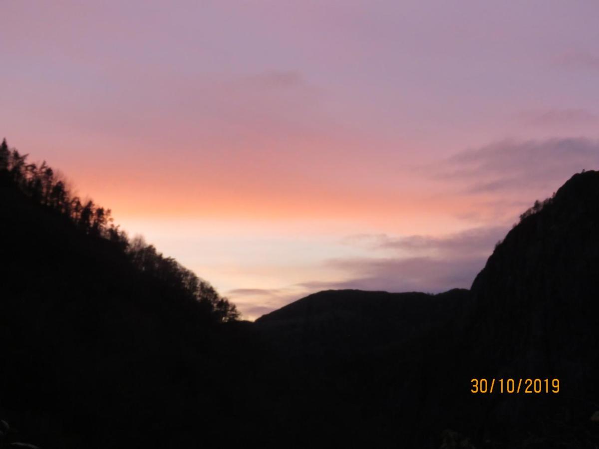 Photo 40