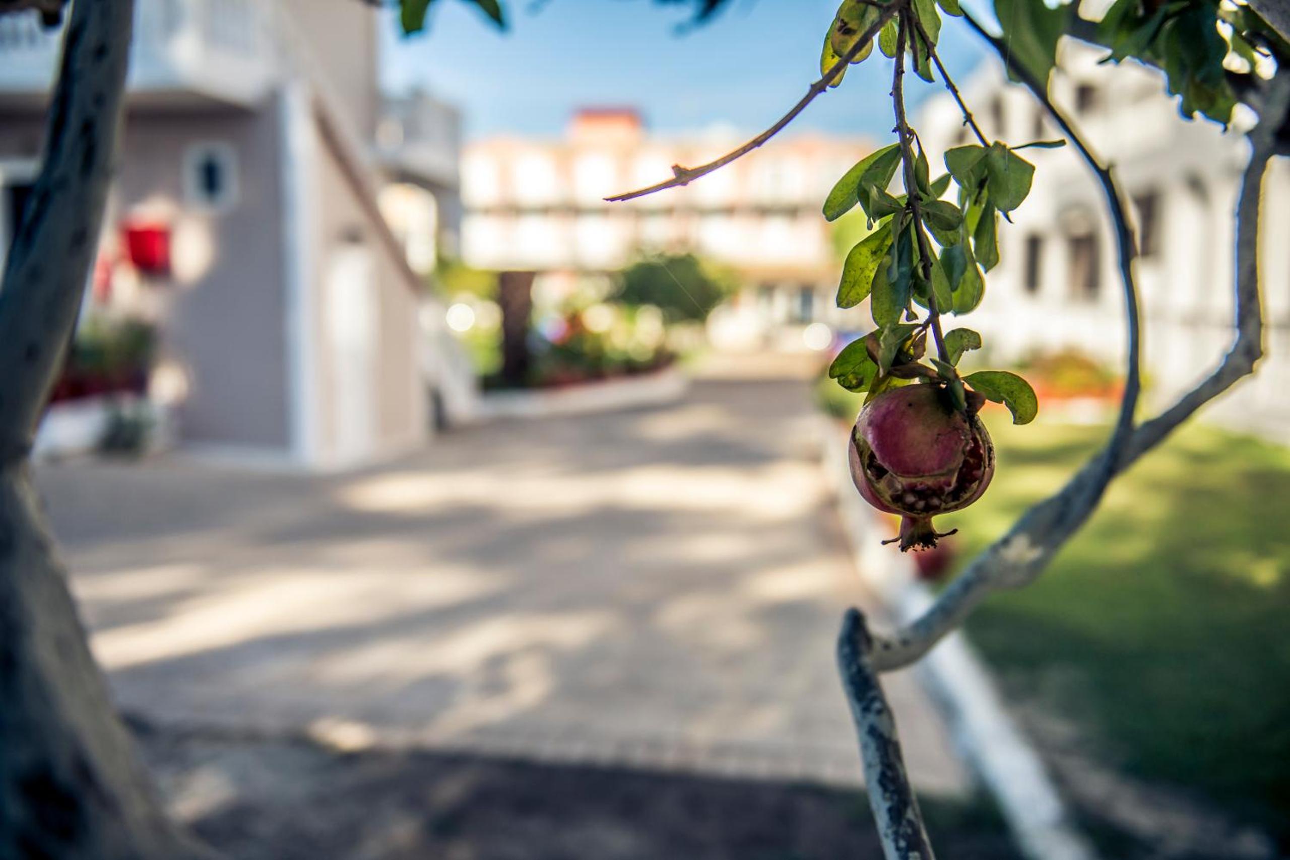 Hotel Ragias Studios - Image 1