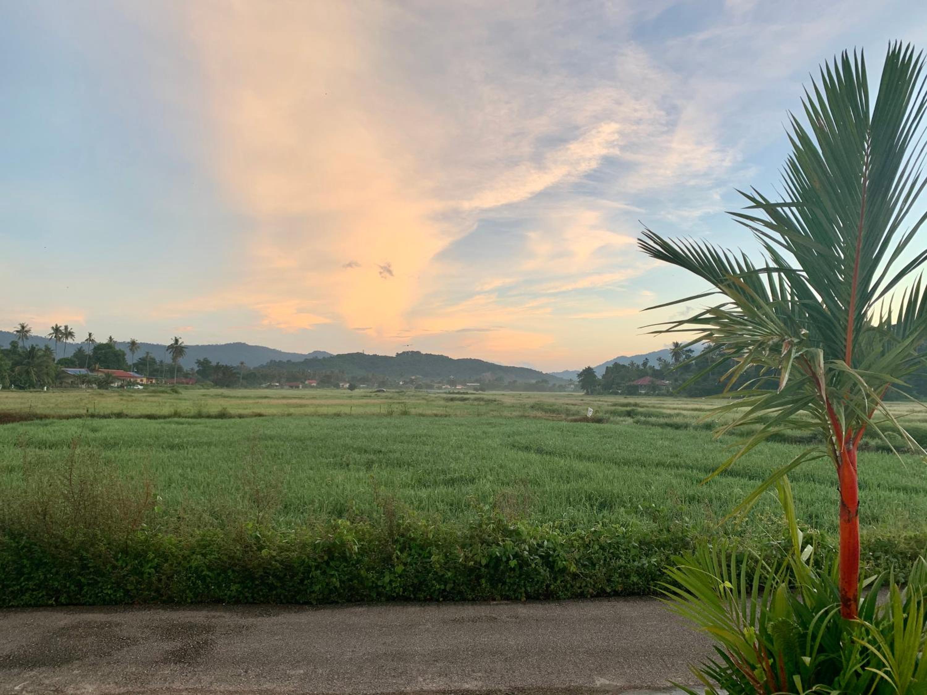 The Paddy Field - Private Pool Villas photo 4