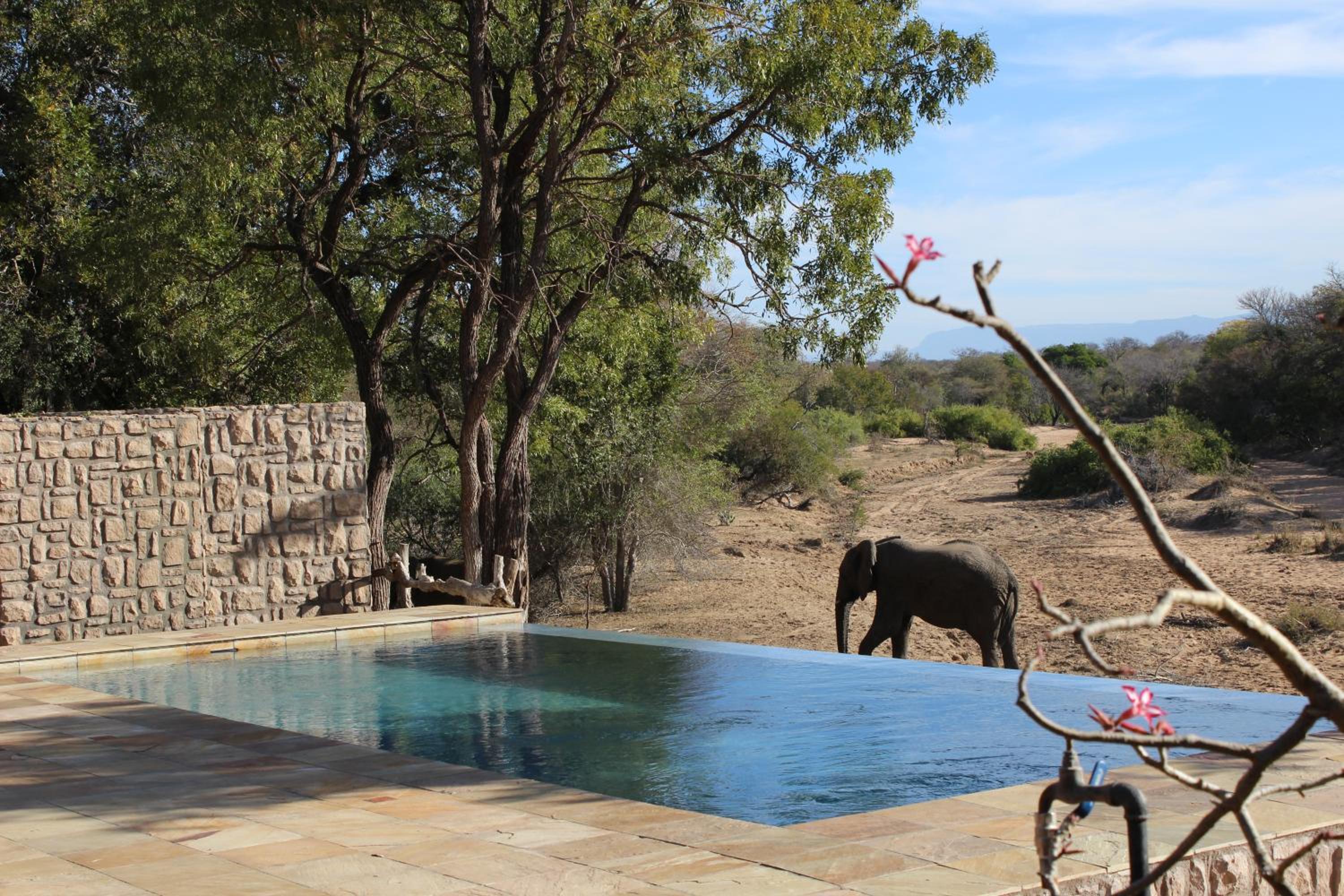 Shumbalala Game Lodge