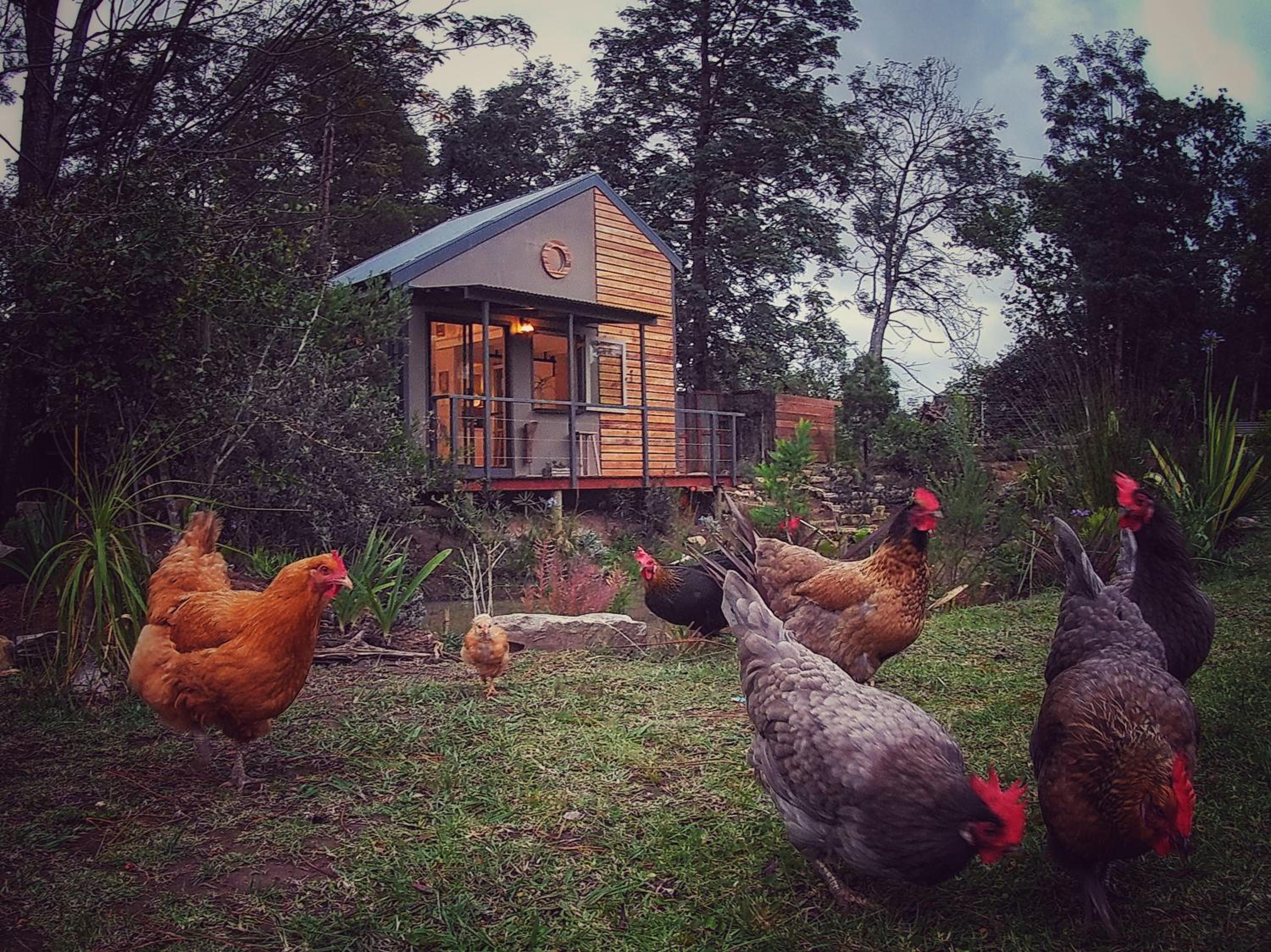 Woodlands Self Catering