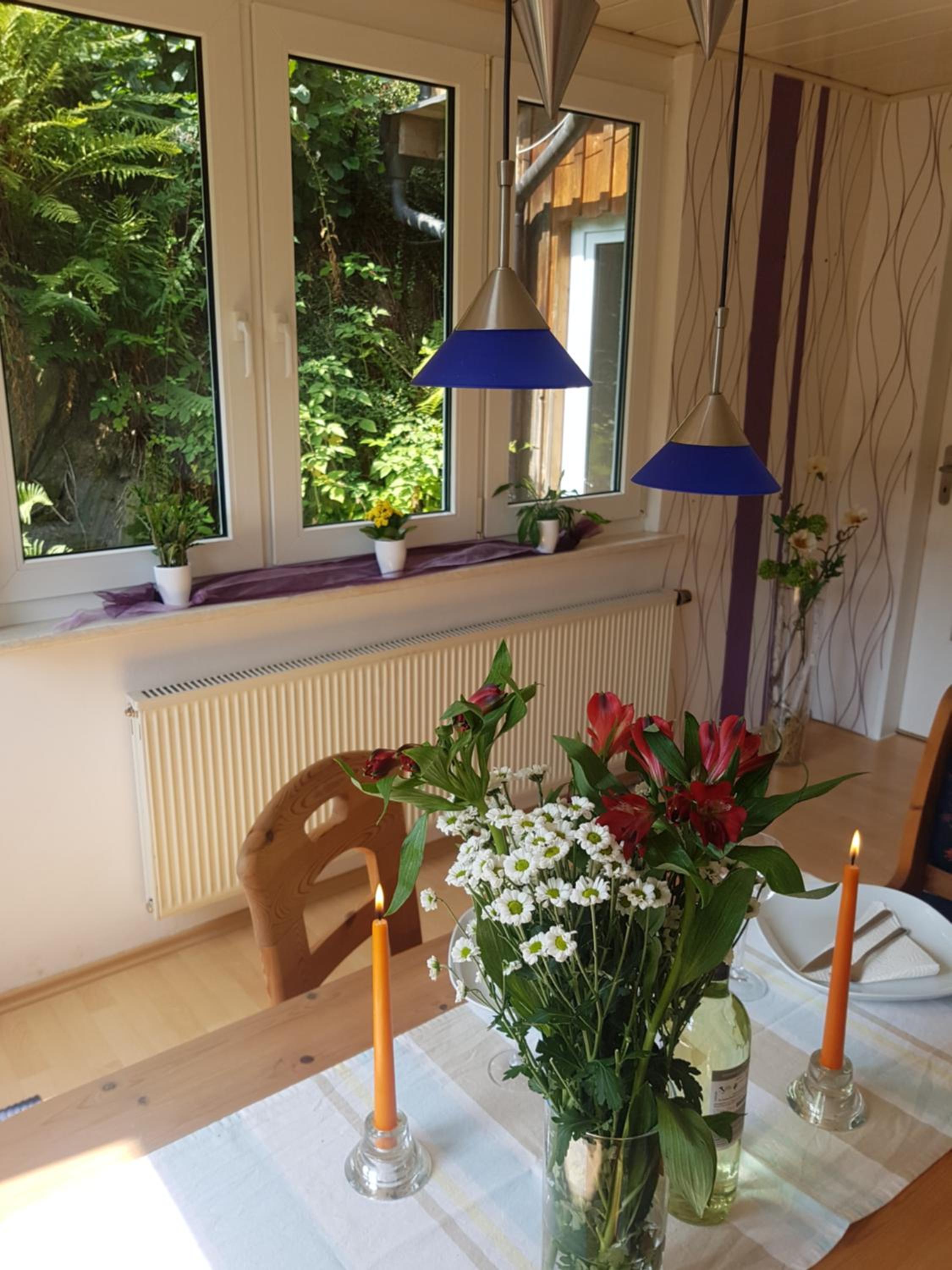 Ferienwohnung Dünnebacke view 5