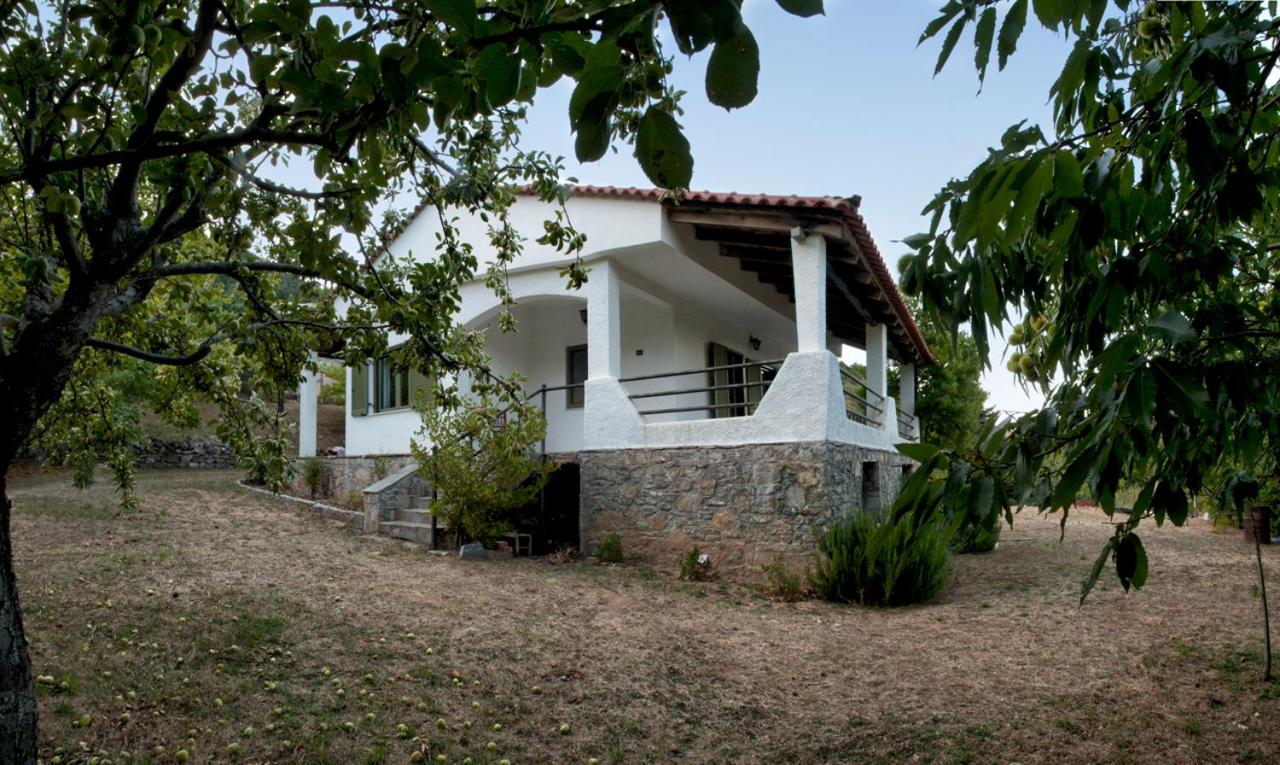 MOUNTAIN HOUSE - SETTA view 3