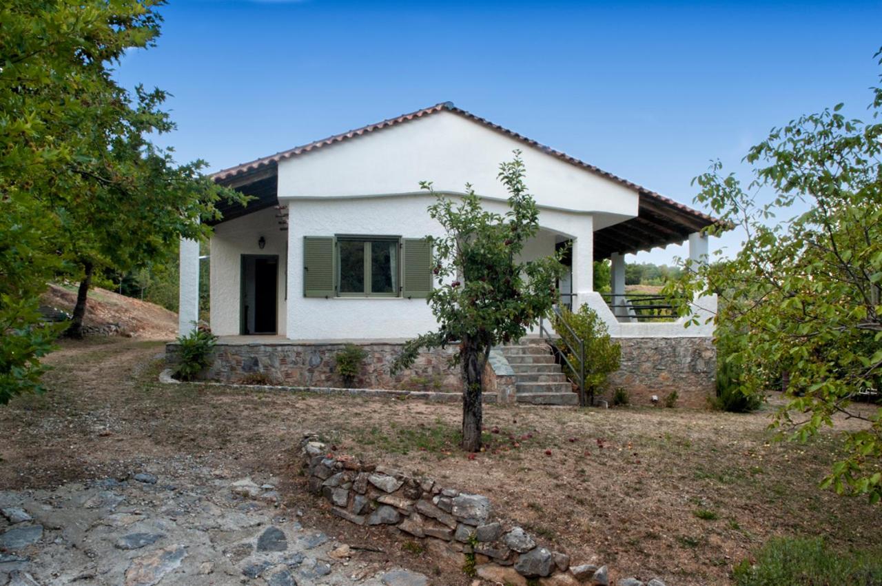 MOUNTAIN HOUSE - SETTA view 2