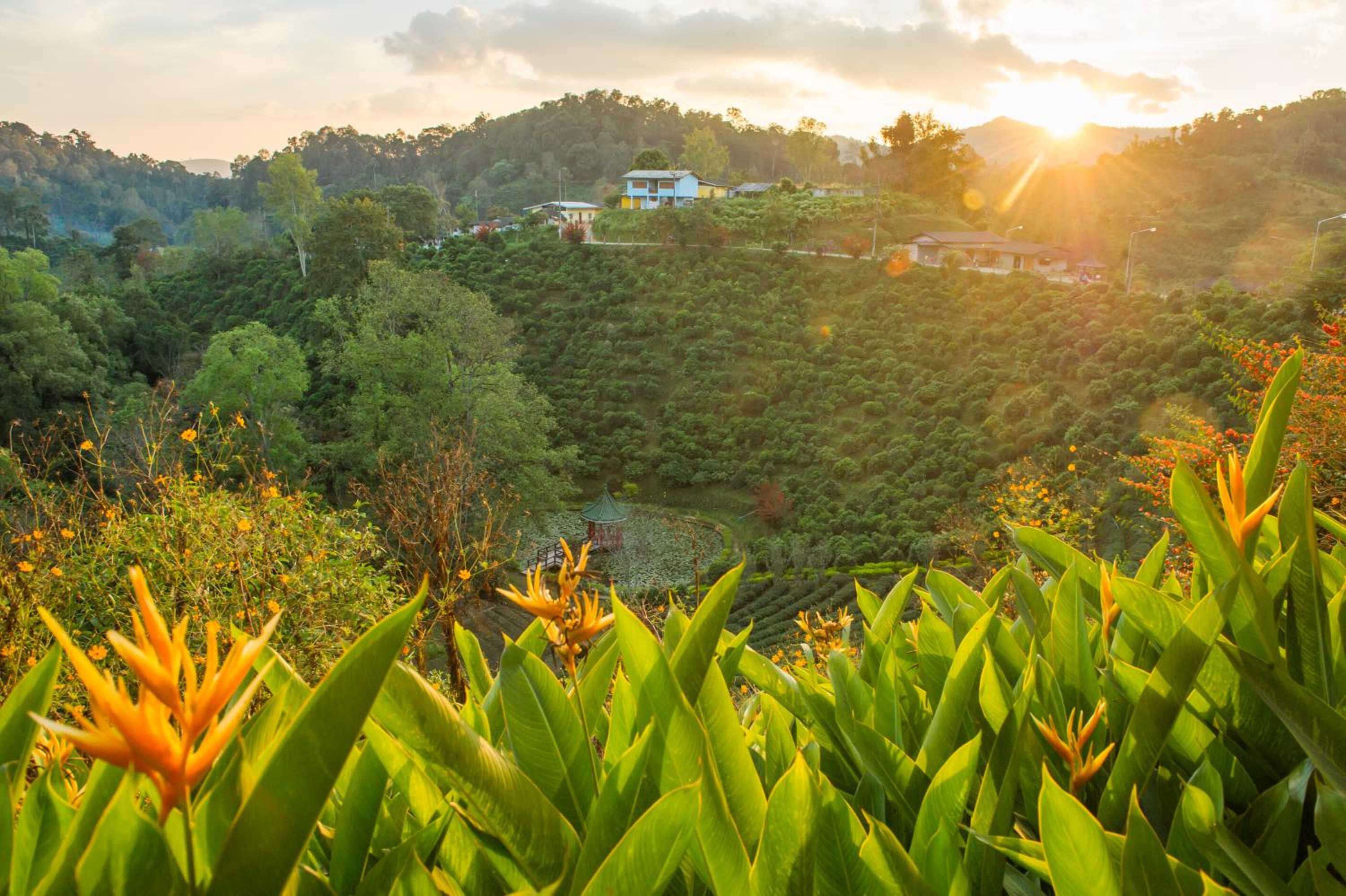 เลาลีฮิลล์รีสอร์ท Laulee hill resort view 4