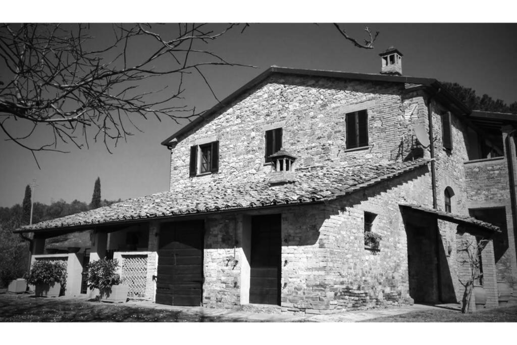 podere collesanto view 4