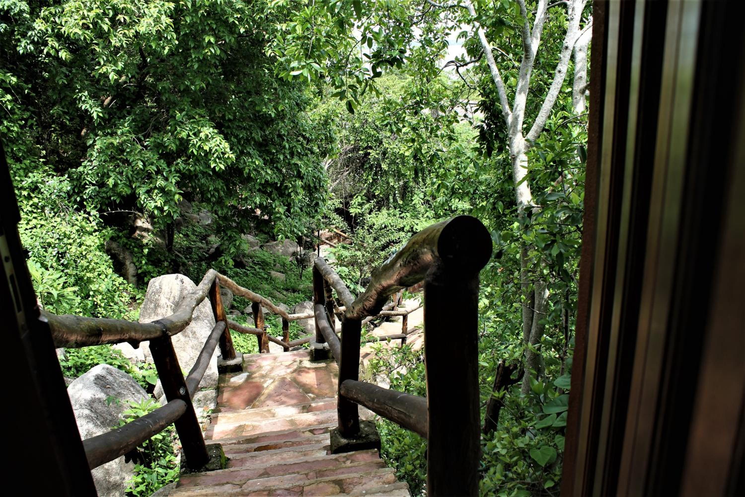Wag Hill Lodge & Spa