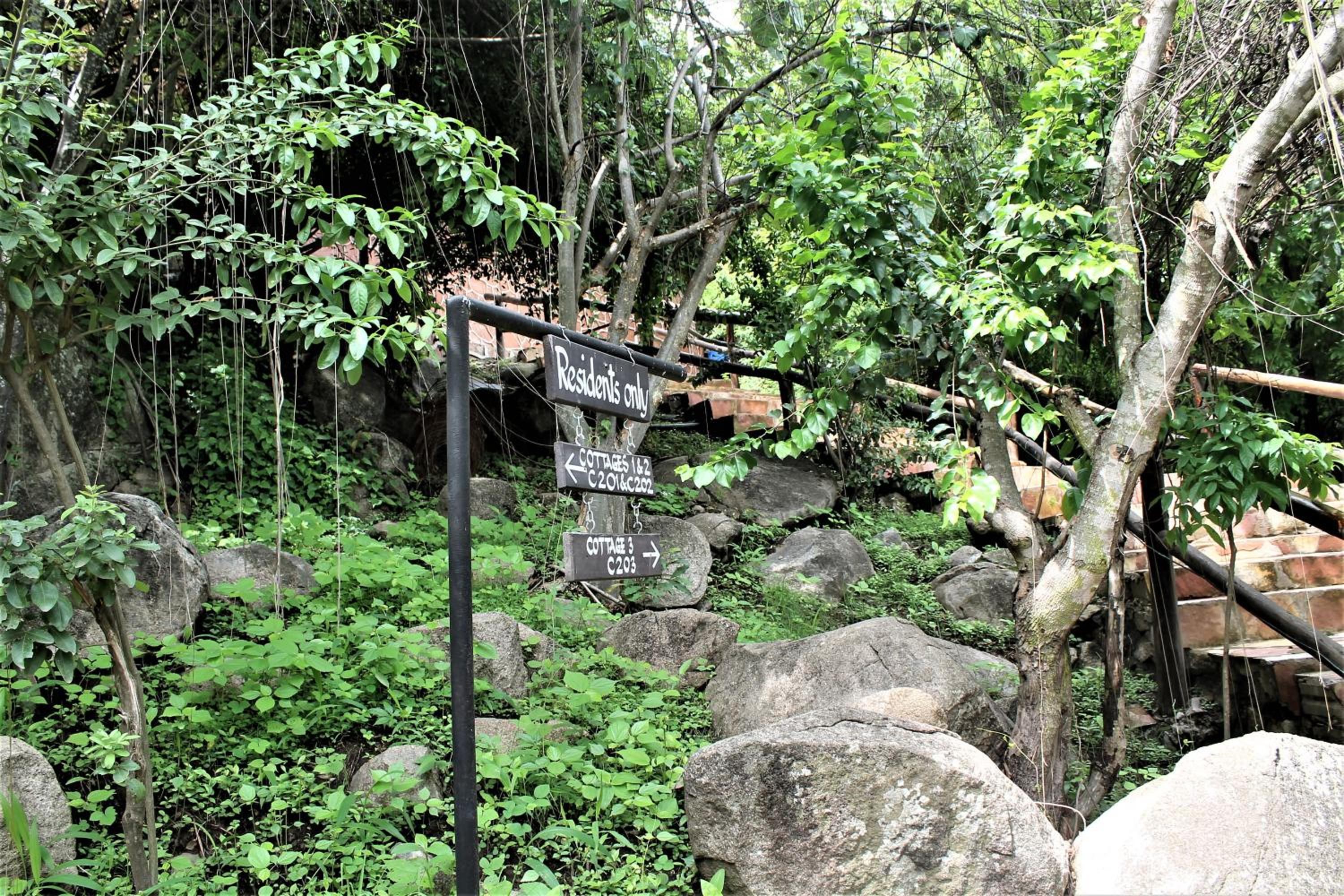 Wag Hill Lodge & Spa