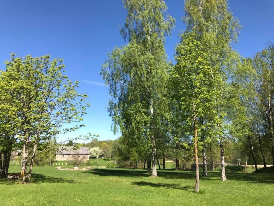 Naktsmītne Elkšņi view 3