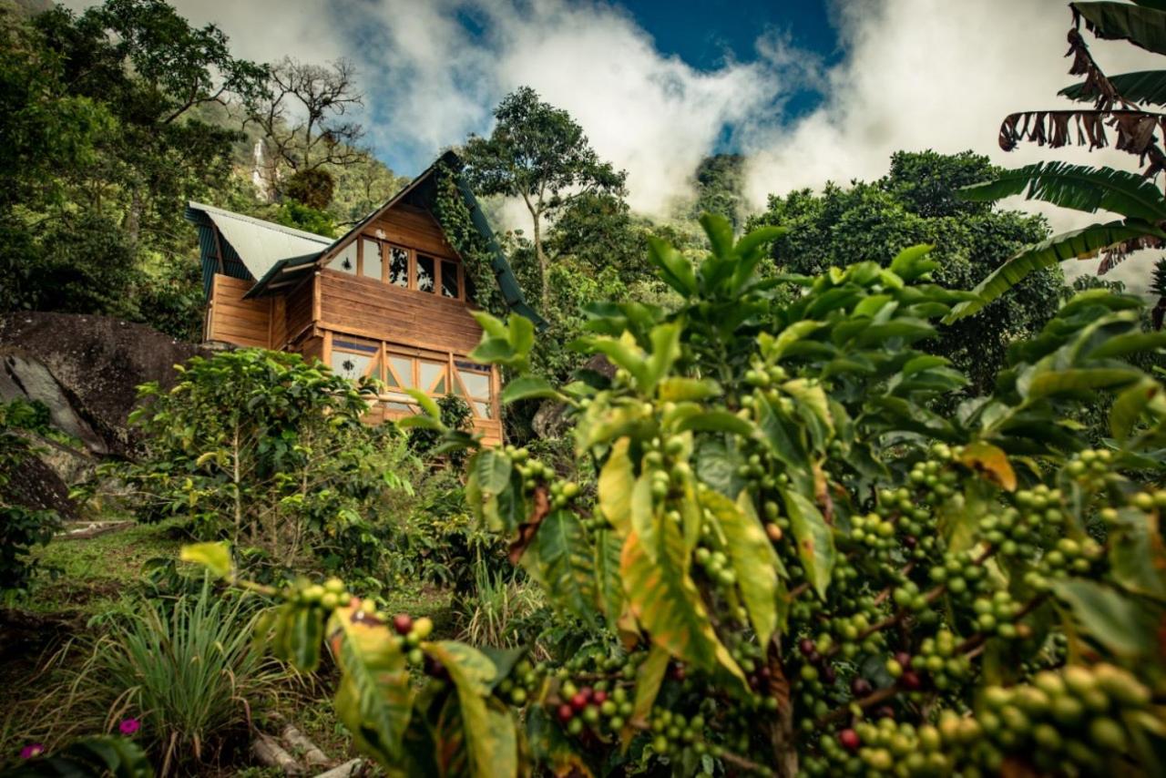 Monte Mágico