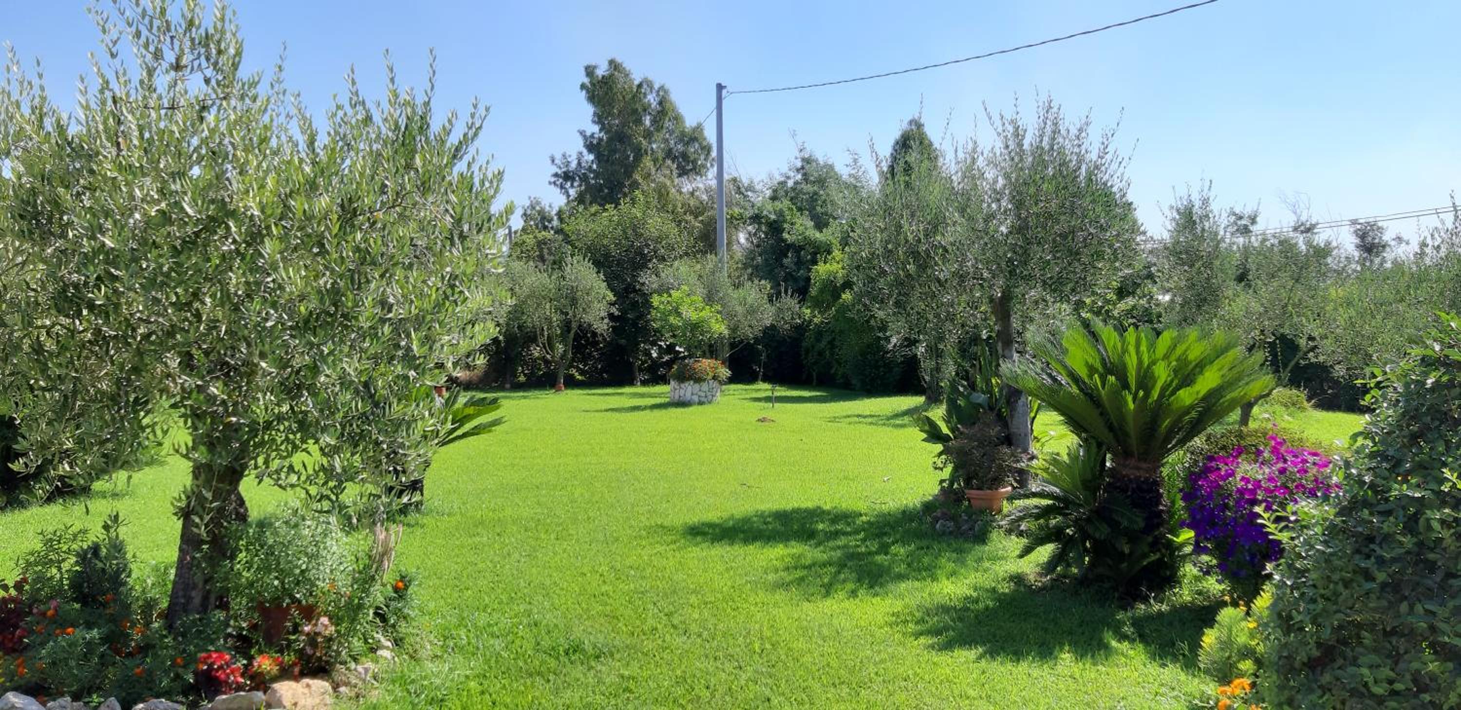 Casale Del Borgo view 5
