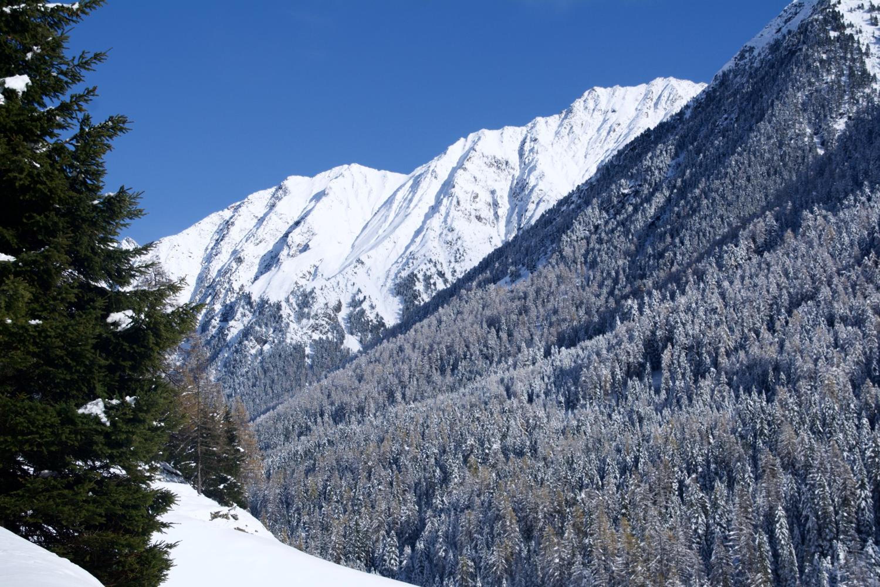 Berghof Niederthai
