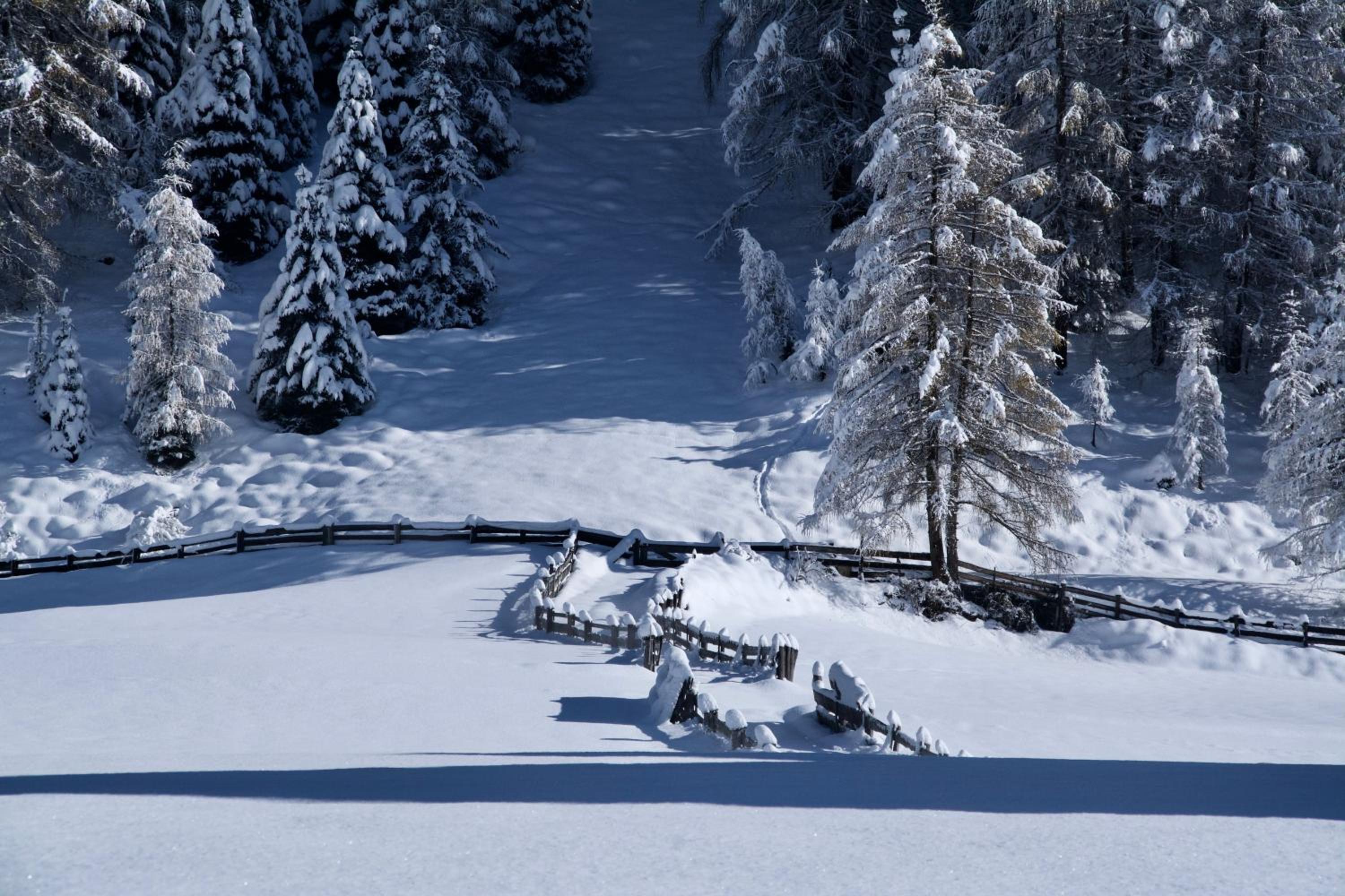 Berghof Niederthai