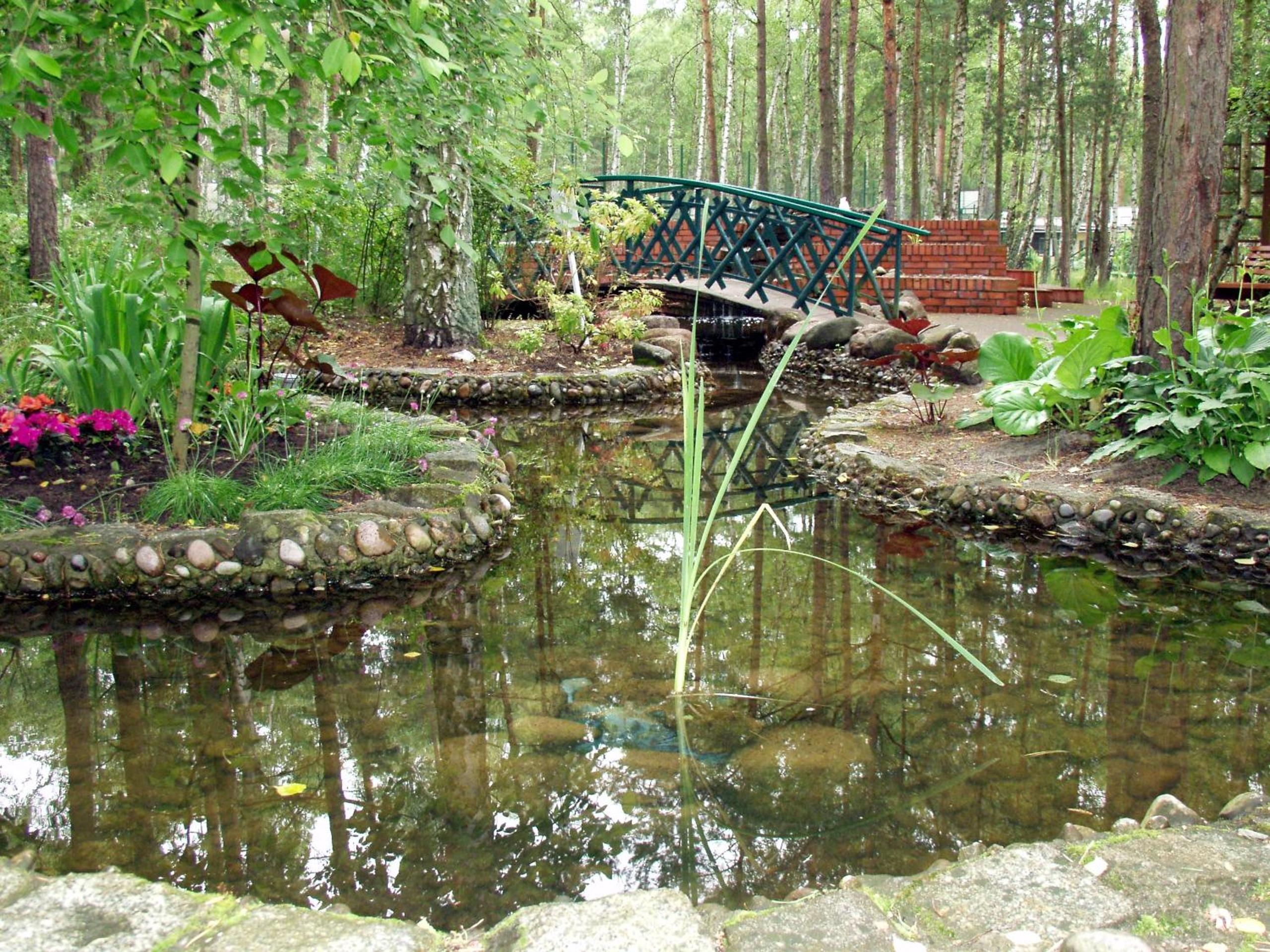 Photo 26