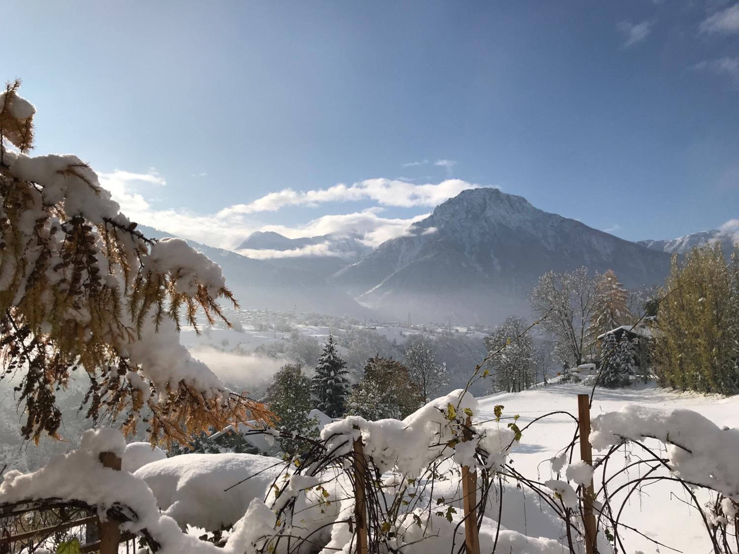 Arve, photo 12