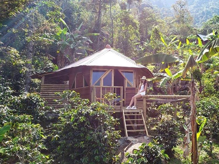 Monte Mágico