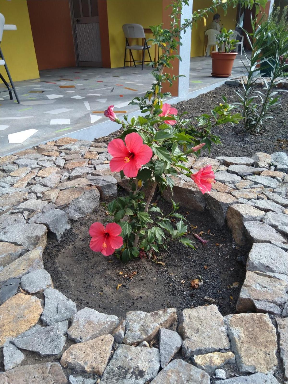 casa alcindo