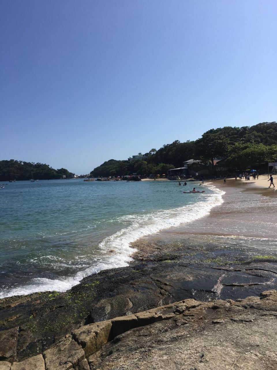 BORBOLETAS DO MAR