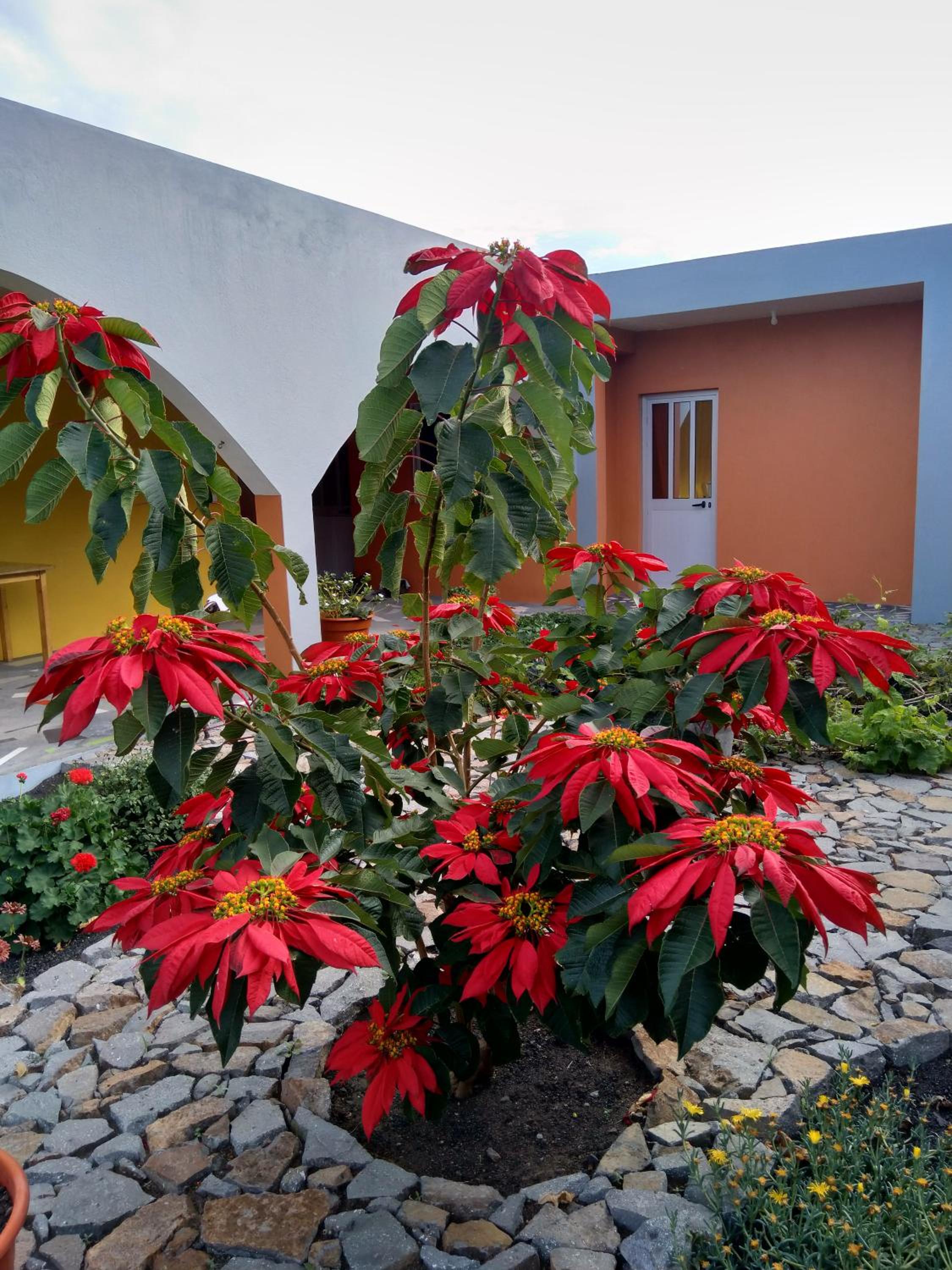 casa alcindo
