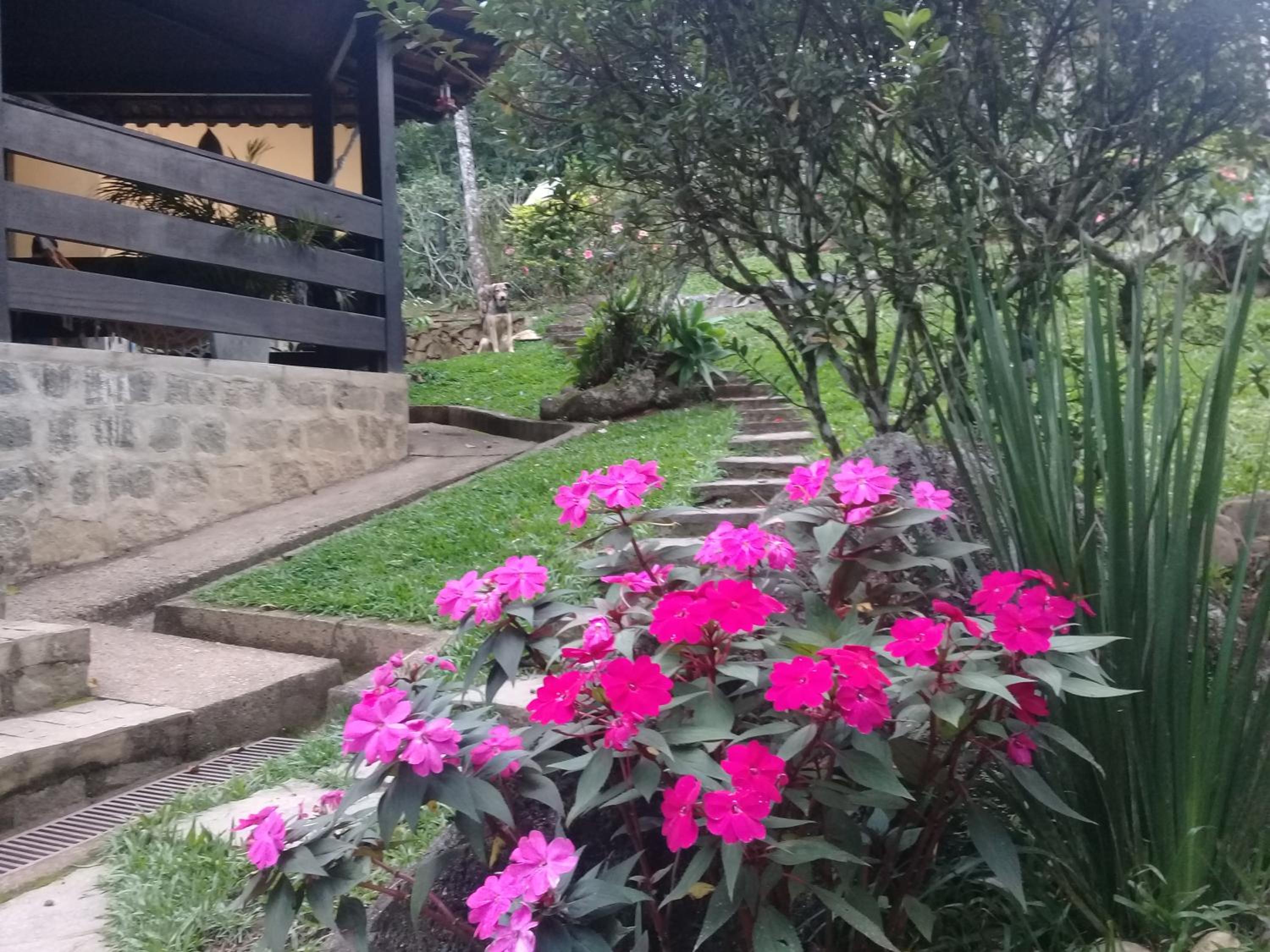 Mansão Adonai nas Cachoeiras de Penedo