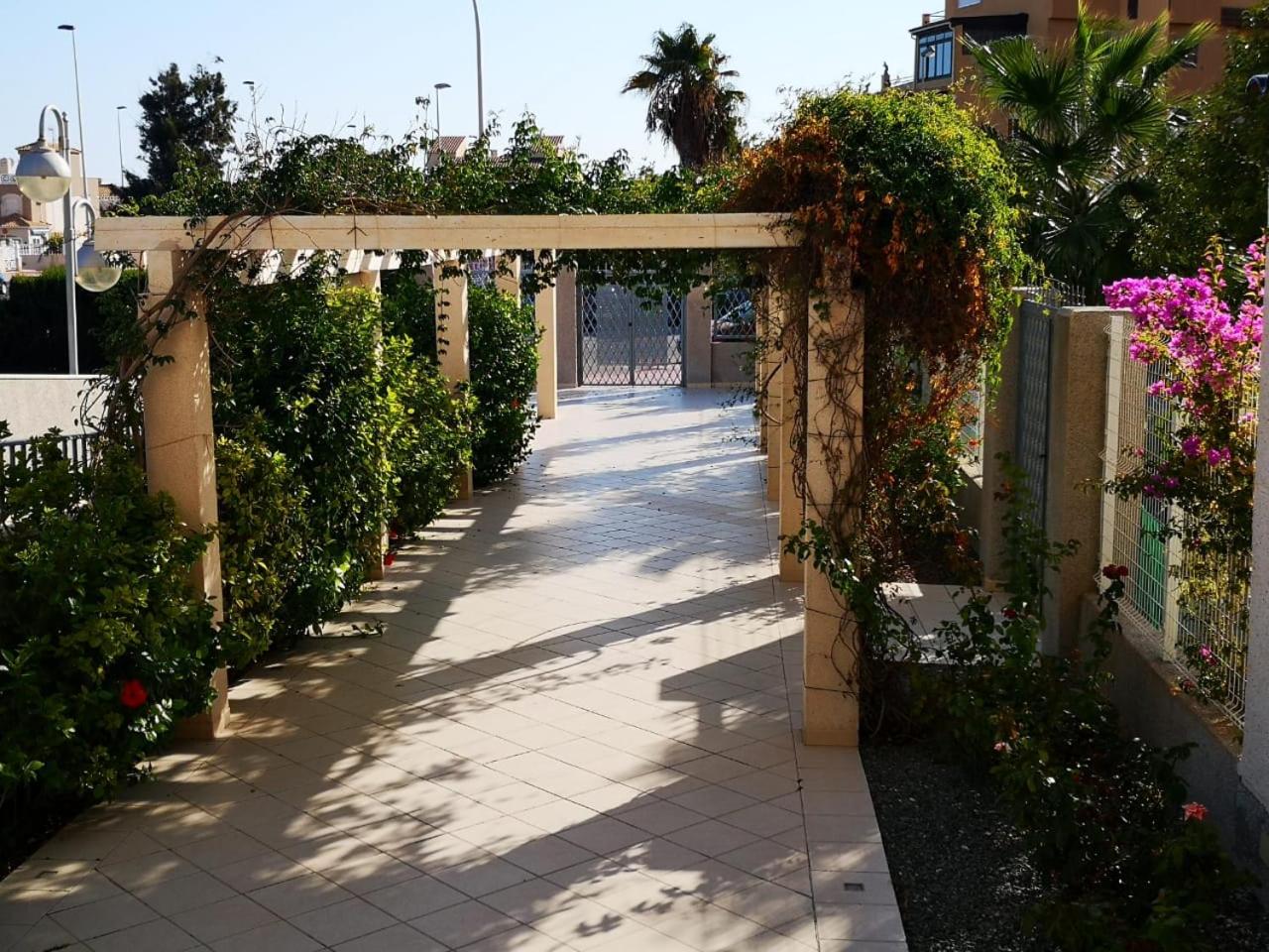 Photo 20