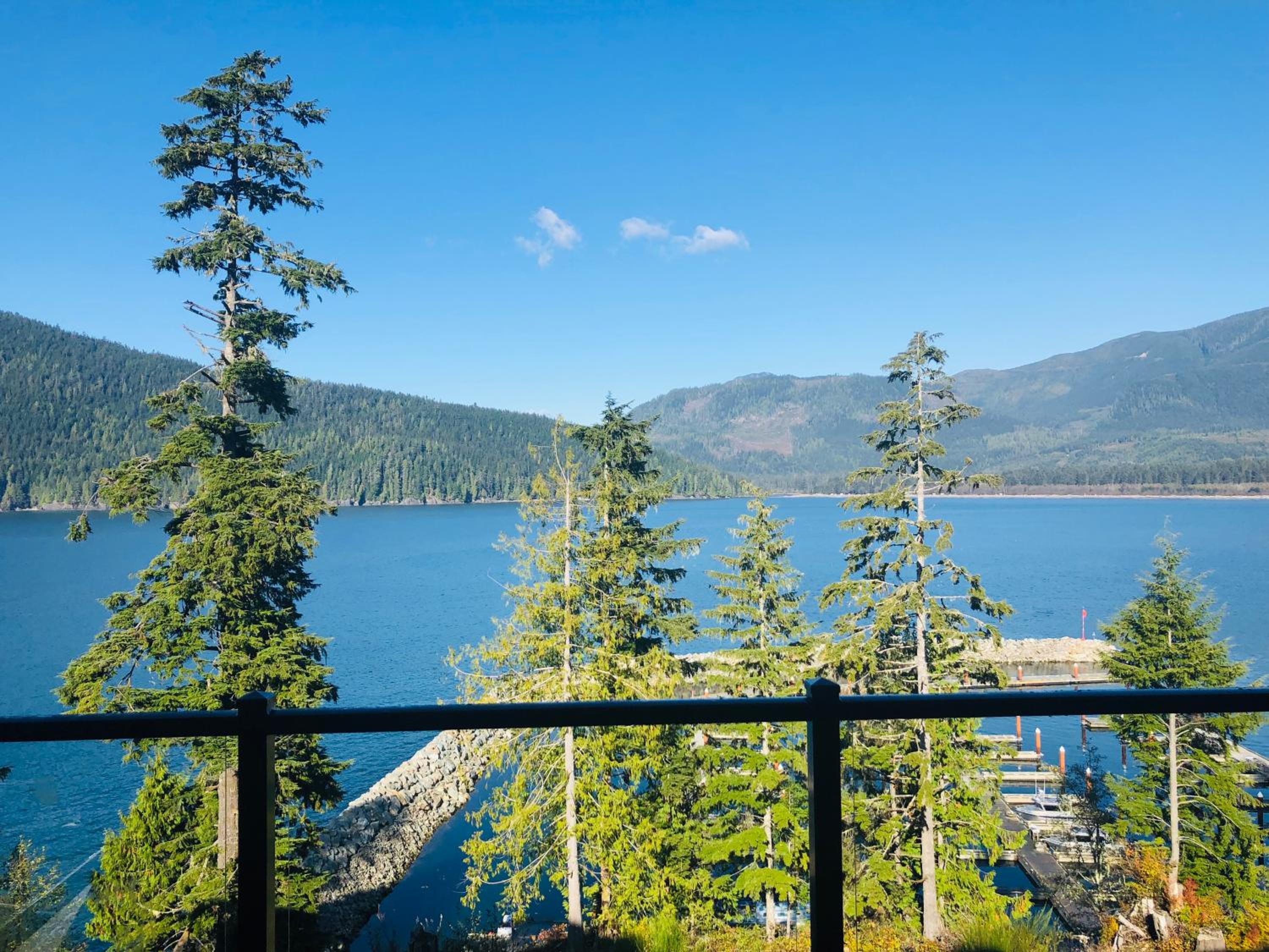 Sandy Feet Retreat Port Renfrew- Oceanfront 2BR modern cottage
