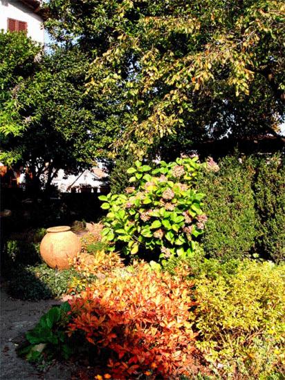 Photo 22