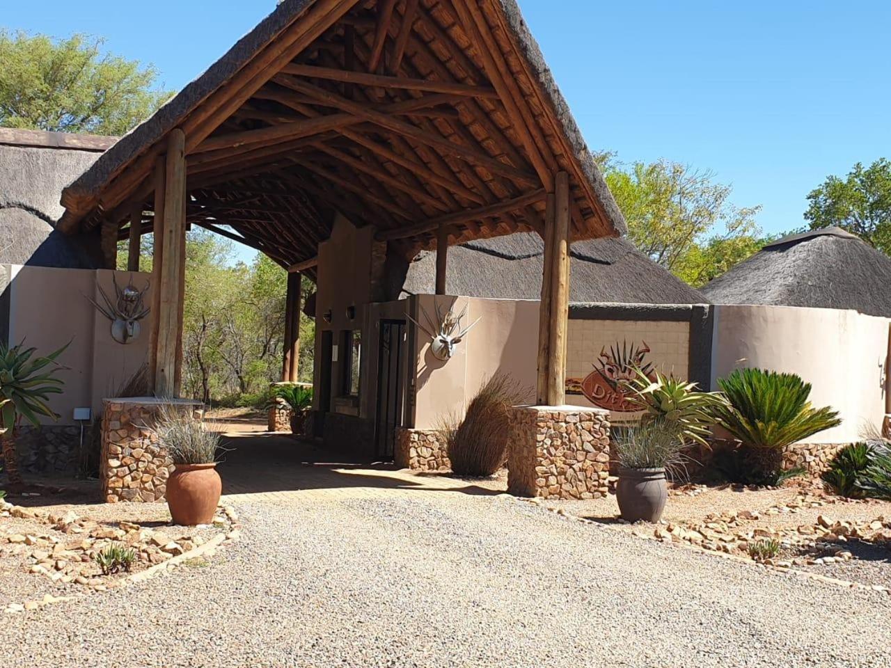 42@ Ditholo Game Lodge view 4