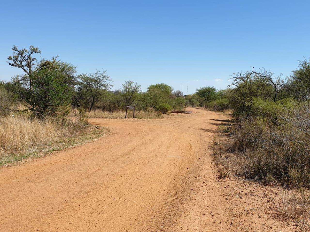 42@ Ditholo Game Lodge view 5