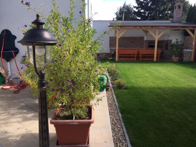 Photo 49