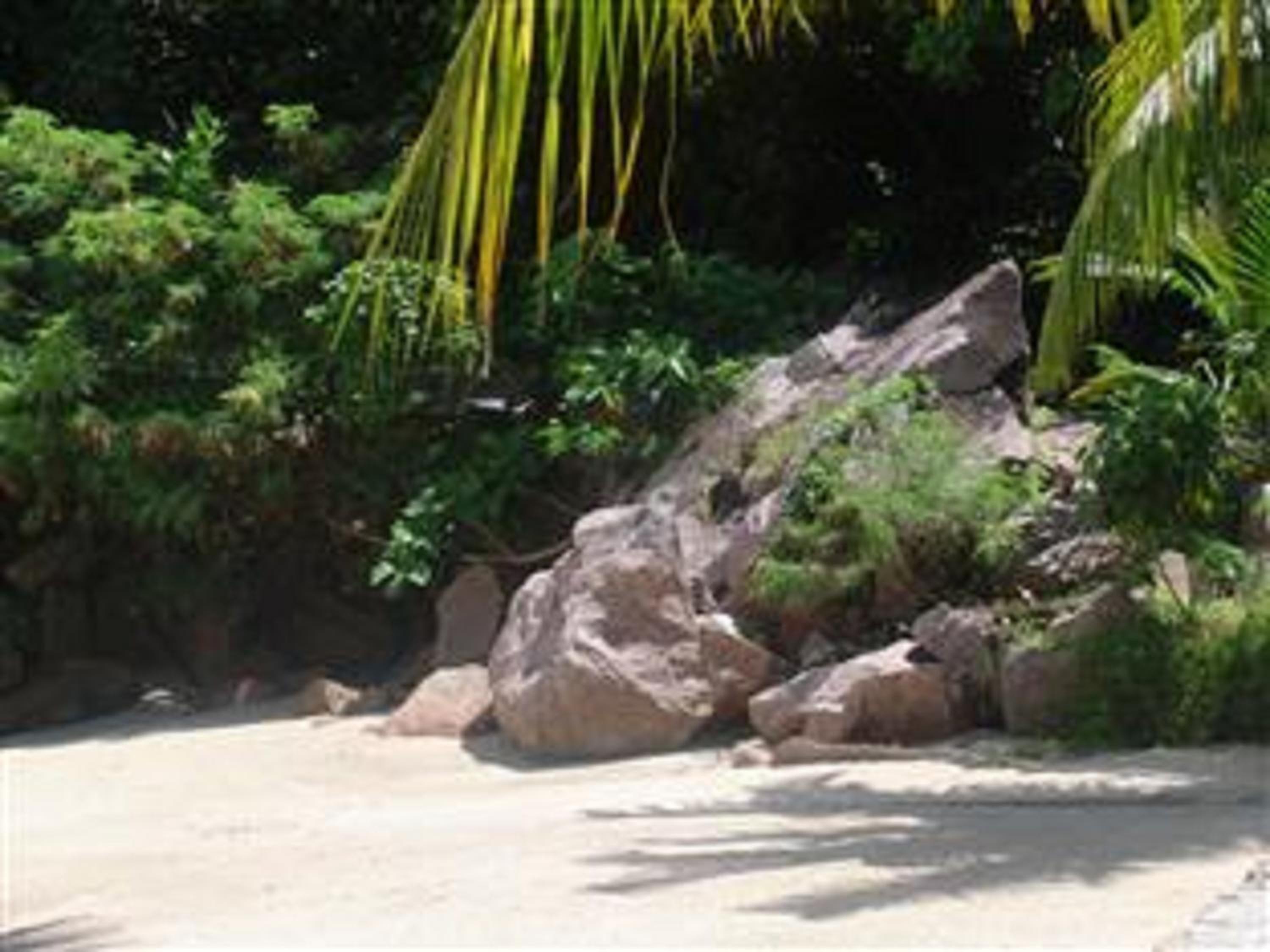 Sea View Lodge